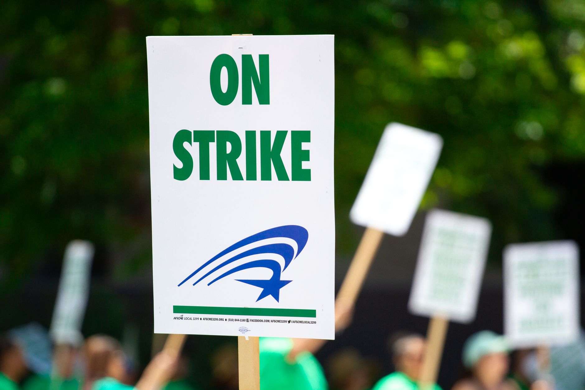 Northern Ireland Specialists Join Pay Dispute: Strike Looms