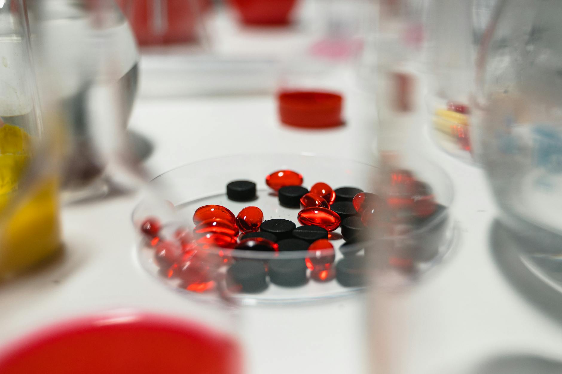 NIPER Raebareli Partners with Lofty Labs to Boost Pharmaceutical Innovation
