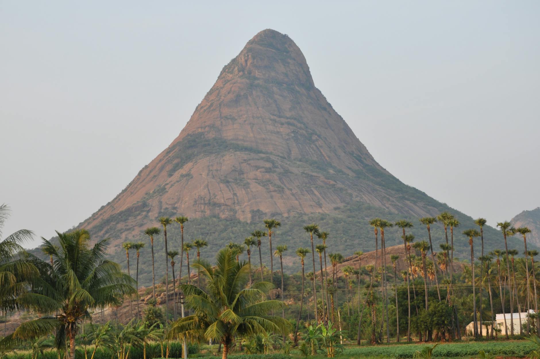 Tragedy on Velliangiri: Devotee's Pilgrimage Ends Fatally