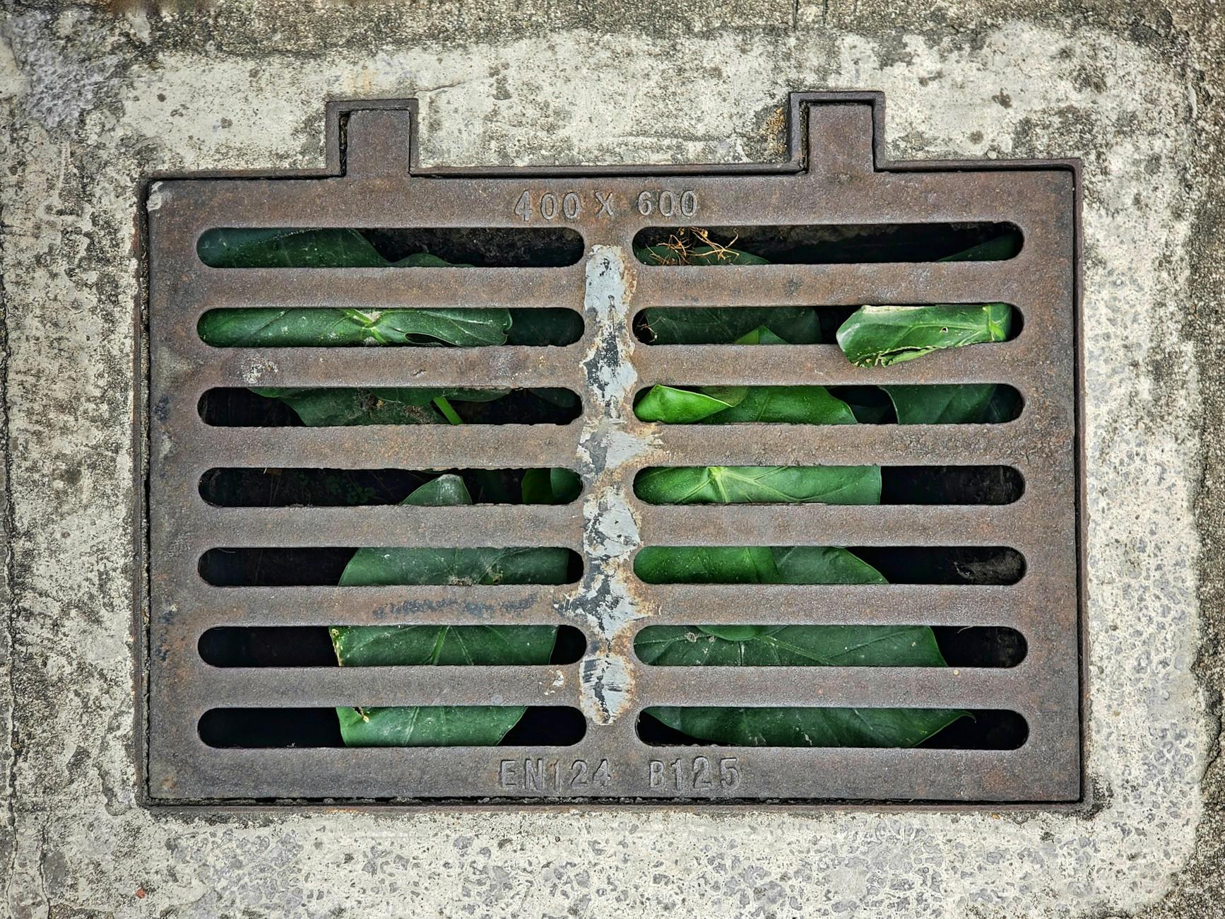 Tech to the Rescue: Battling the Fatbergs Menace