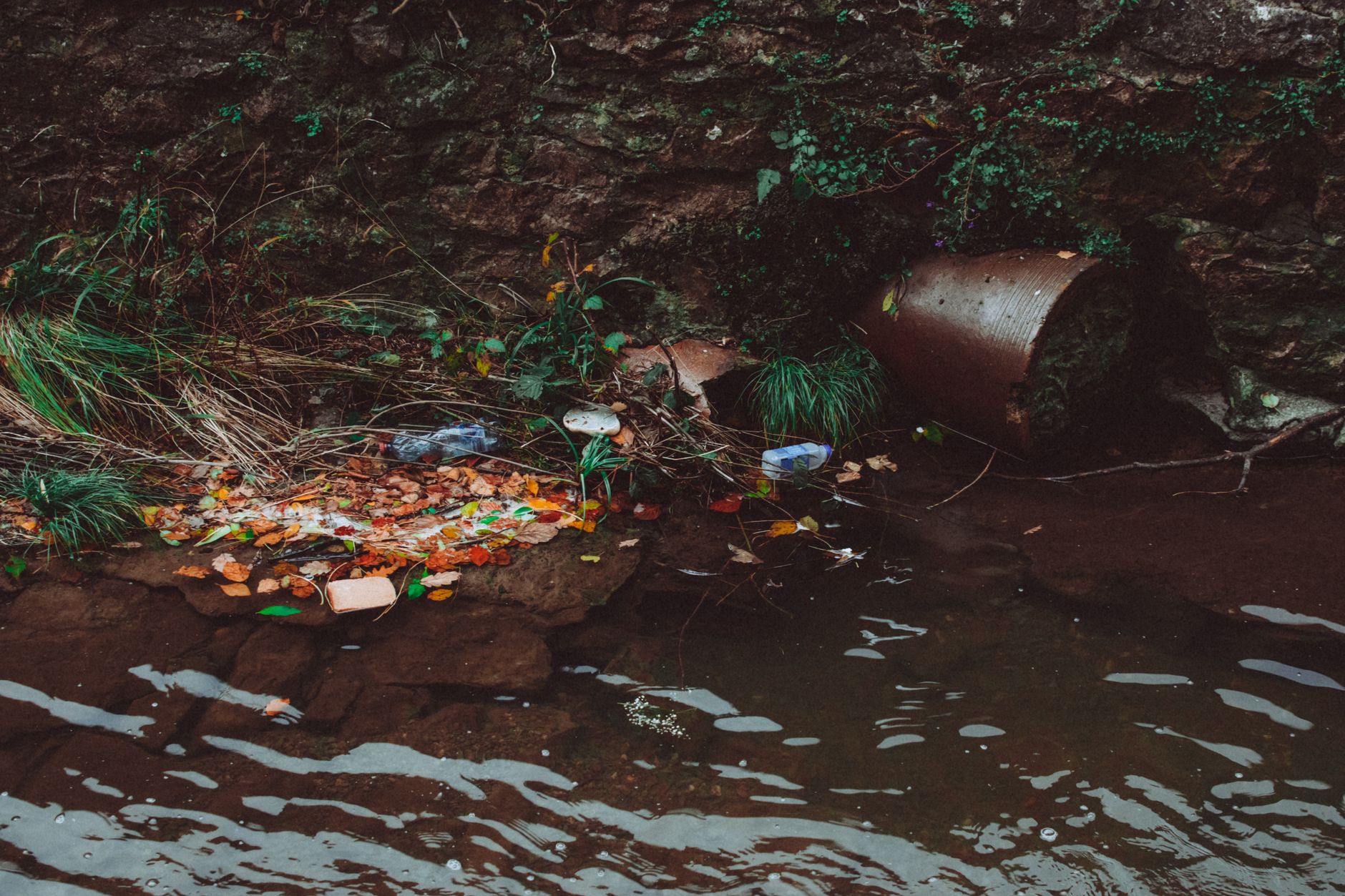 Yorkshire Firms Fined £470,000 for Environmental Breaches