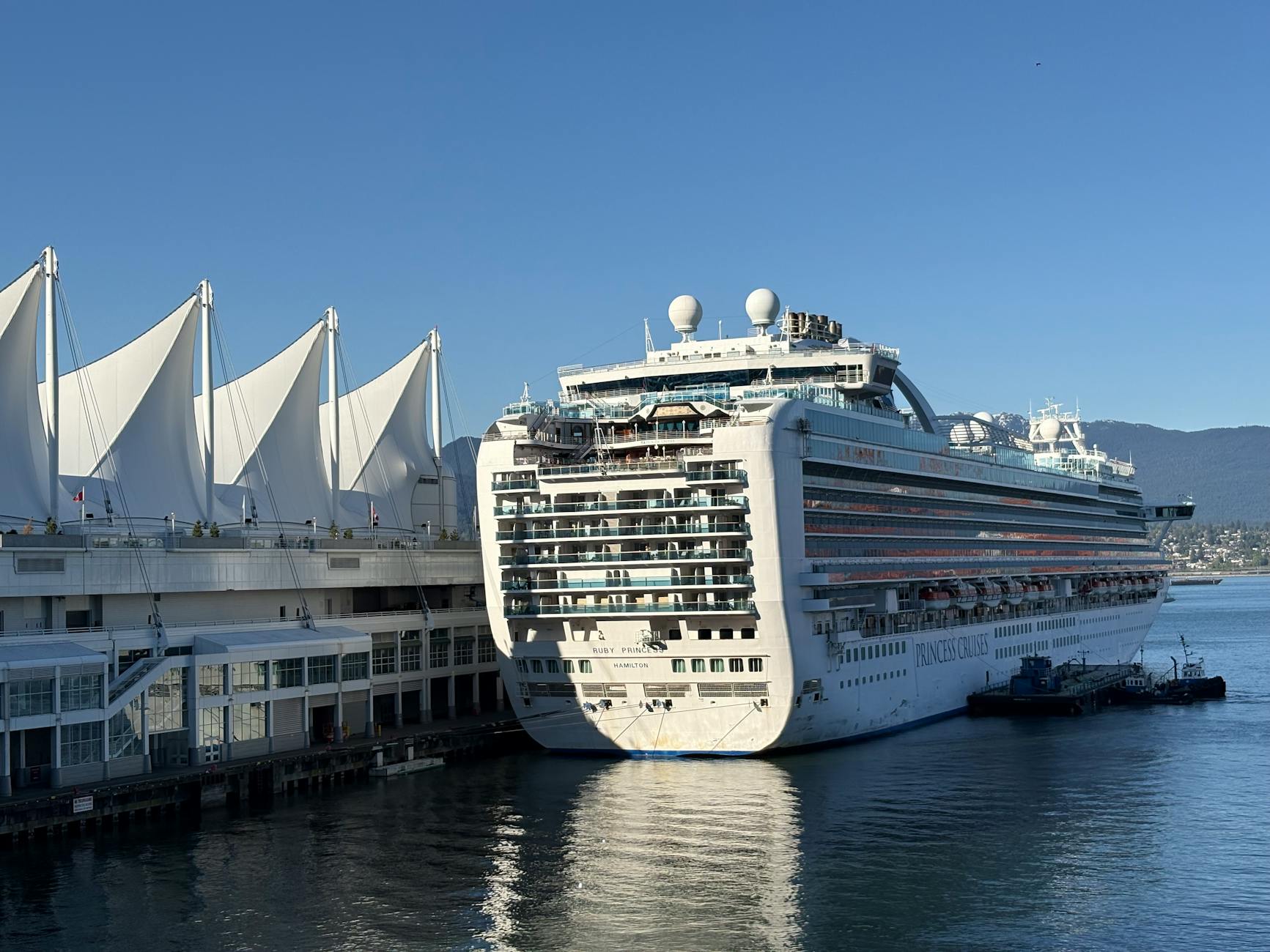 Canada Reports First Hantavirus Case Amid Cruise Ship Outbreak