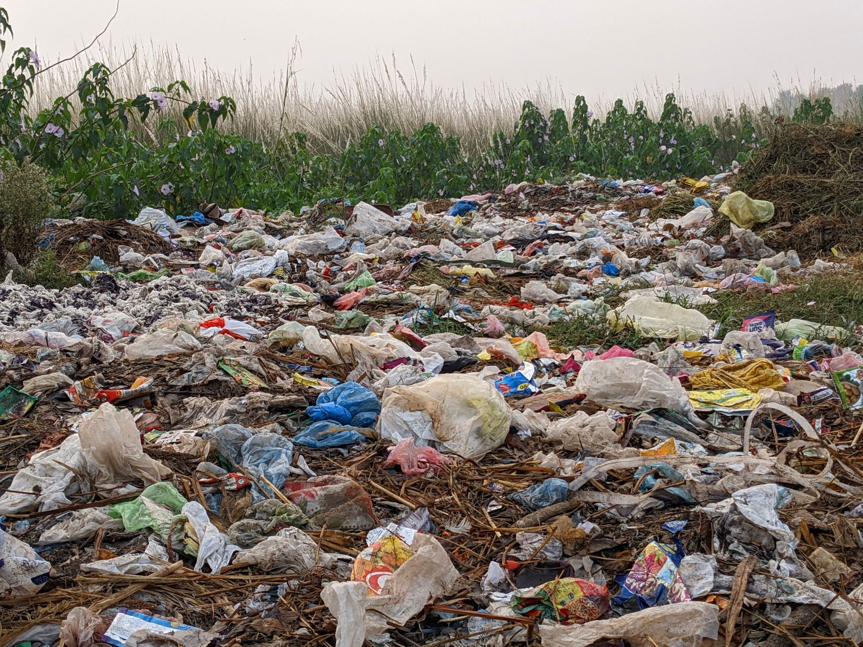Top 10% of Consumers Cost Environment $5.7 Trillion Annually