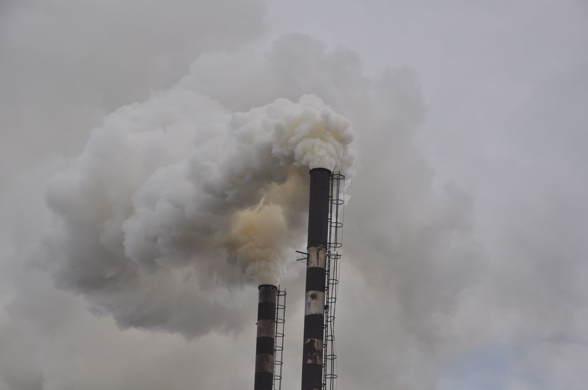 Western Pacific Nations Unite with WHO to Tackle Air Pollution