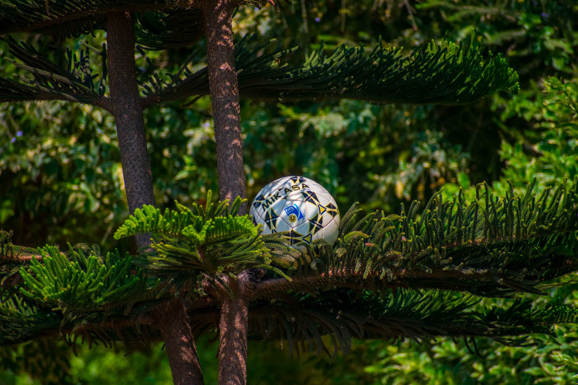 FIFA Workshop in Delhi: A Fresh Look at Amateur Football