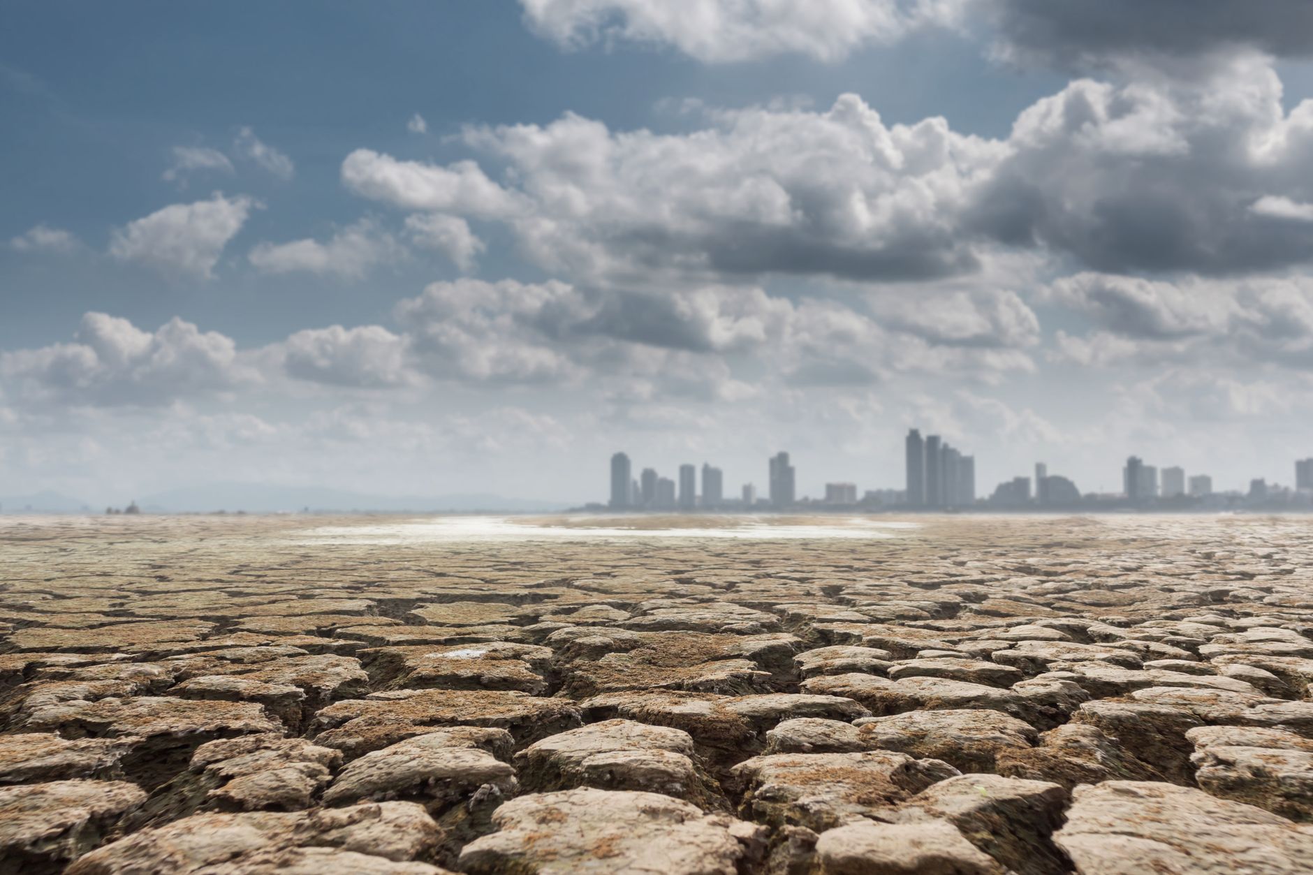 Urban Centres: Custodians of Our Environmental Destiny