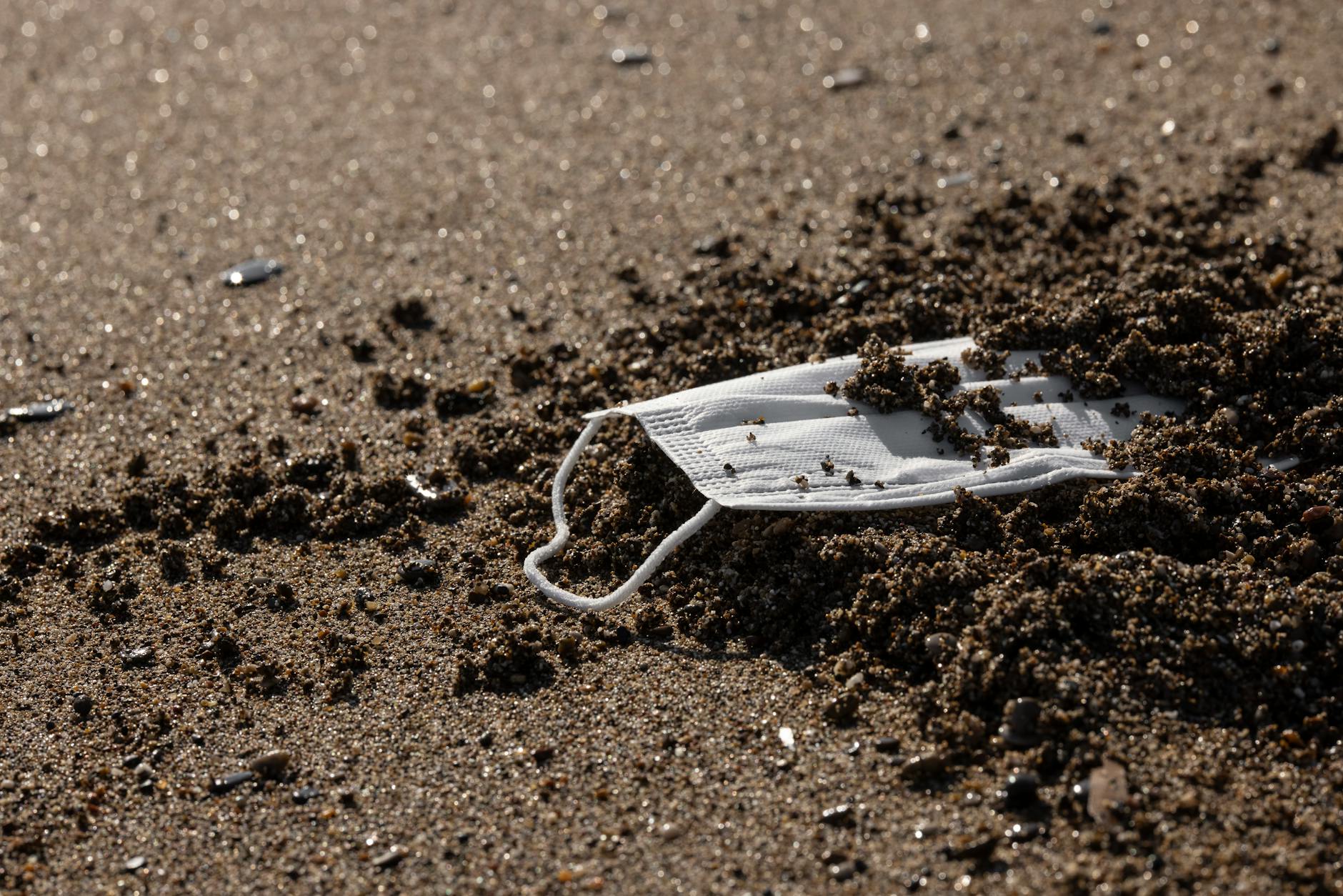 Environmental Court Rulings Demand Urgent Action from Polluters