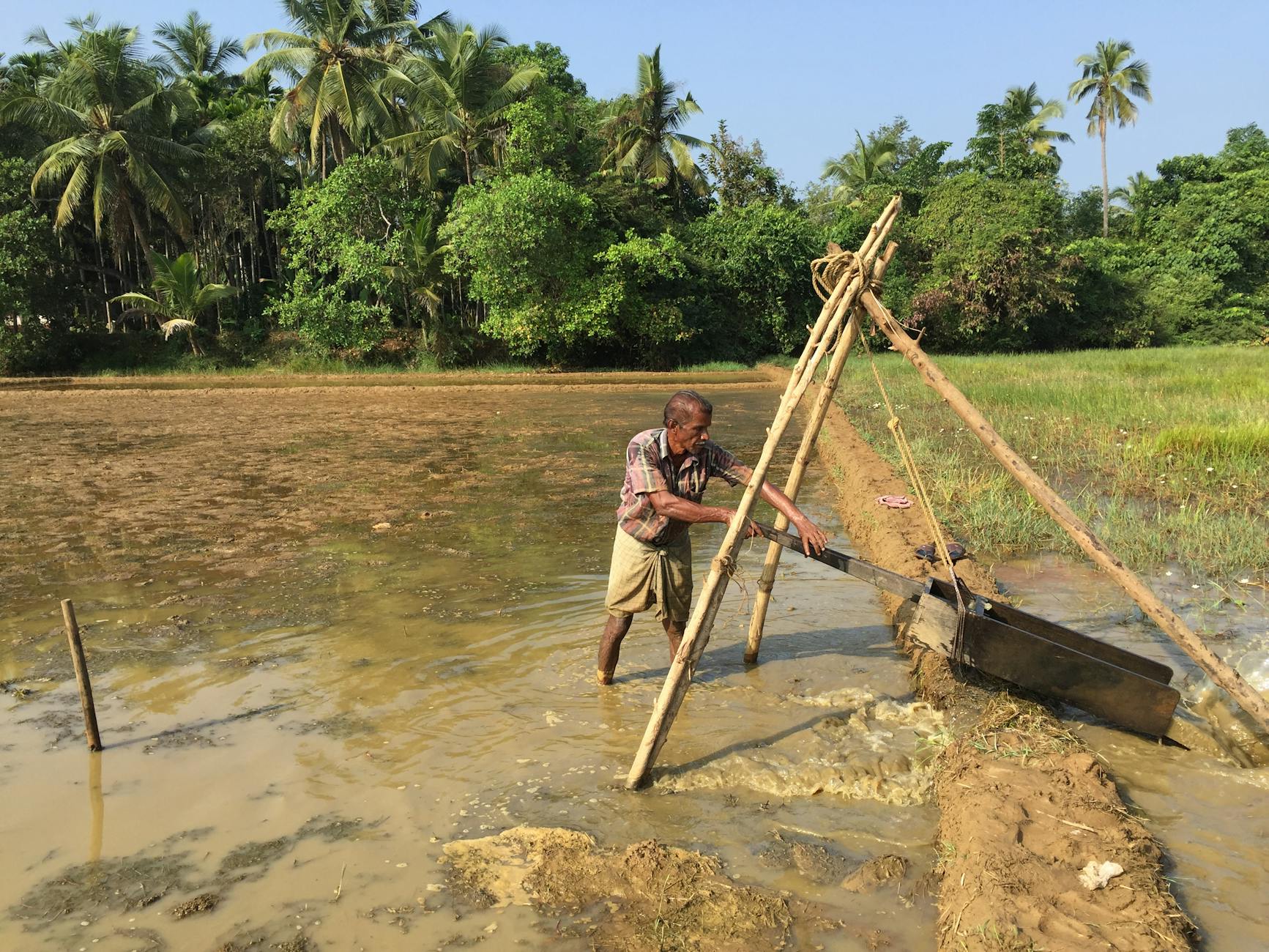 Kerala's Green Chronicles: Encyclopaedia Unveils Rich Environmental History