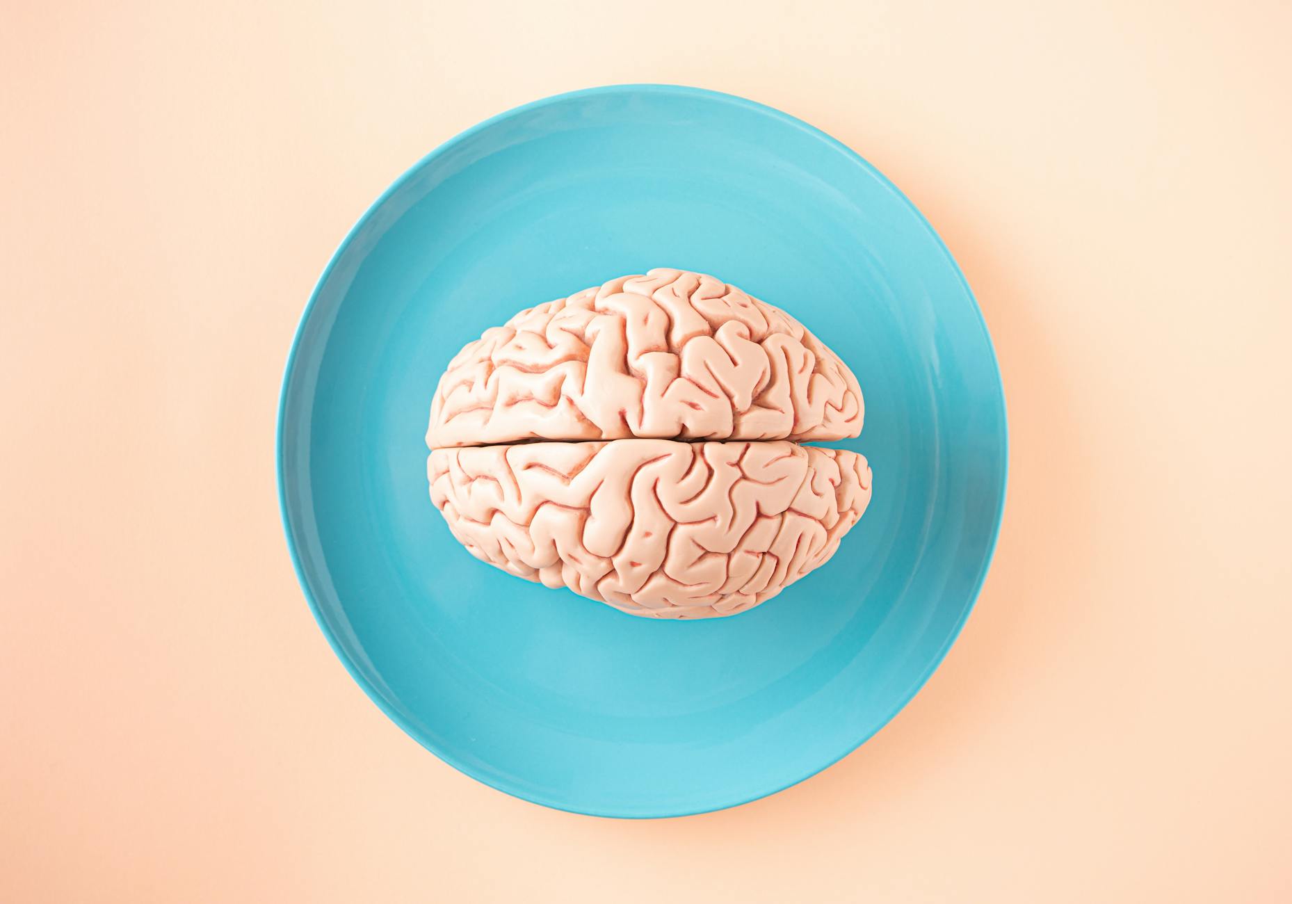 Chew on This: How Mastication Boosts Brain Power