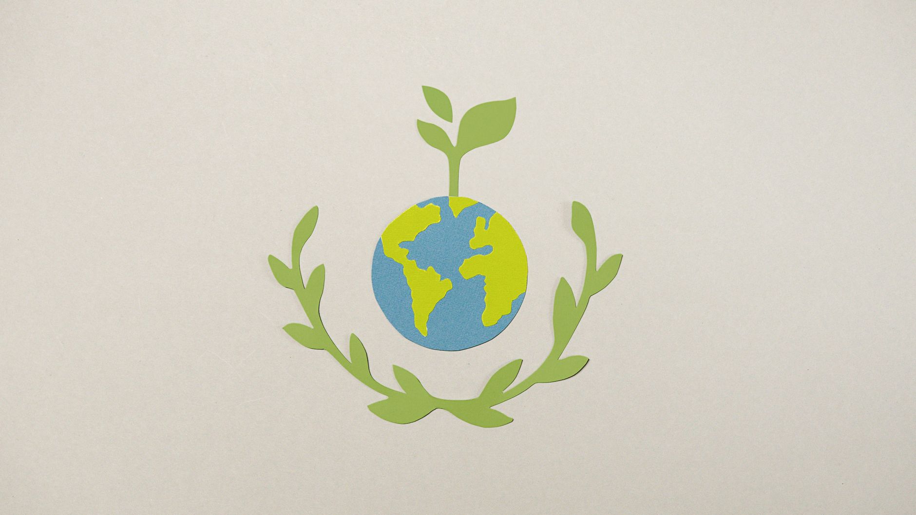 Valmiki University Celebrates World Environment Day with Green Initiative