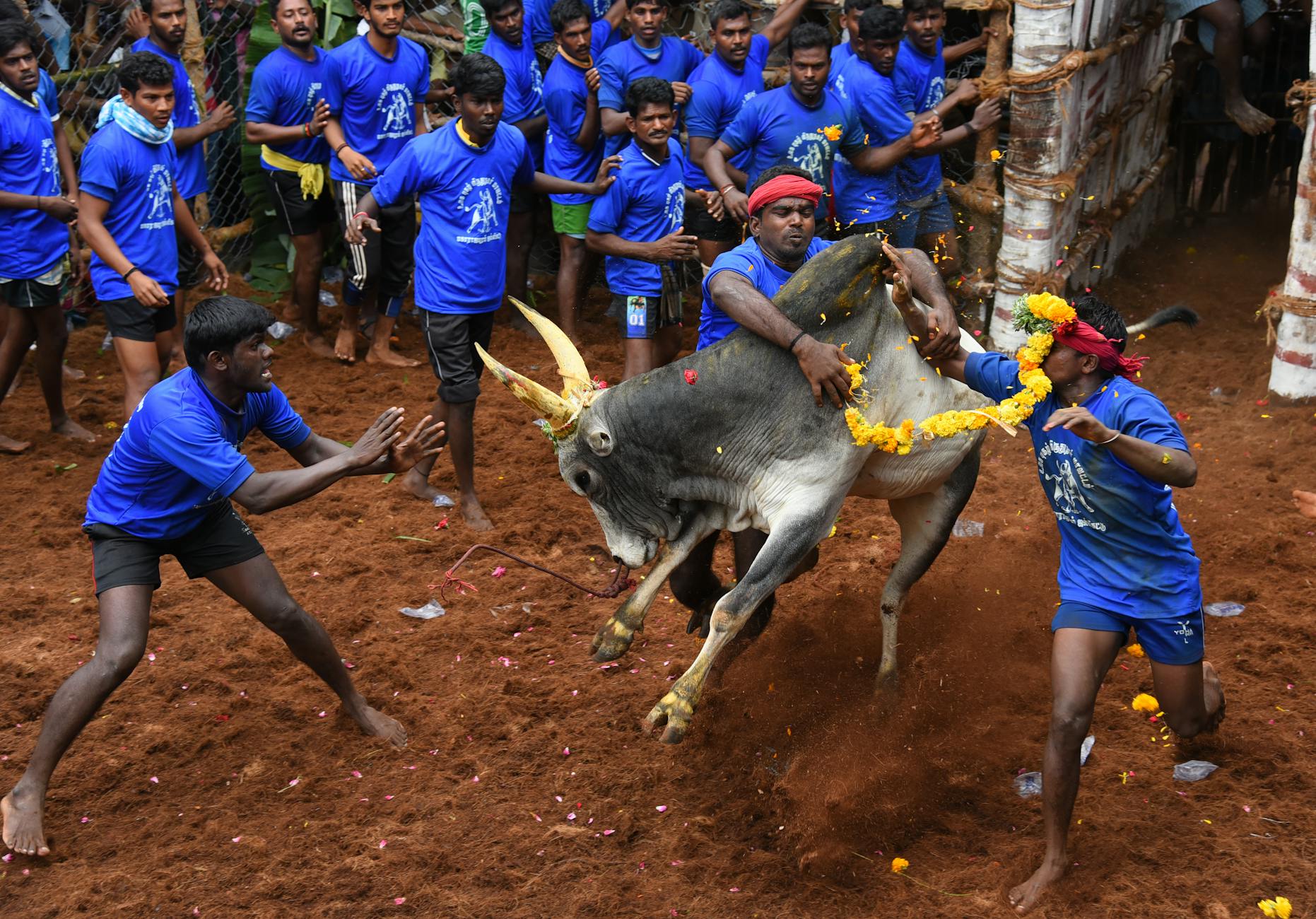 Tamil Nadu's Political Canvas: VCK's Impact Beyond Dalit Identity