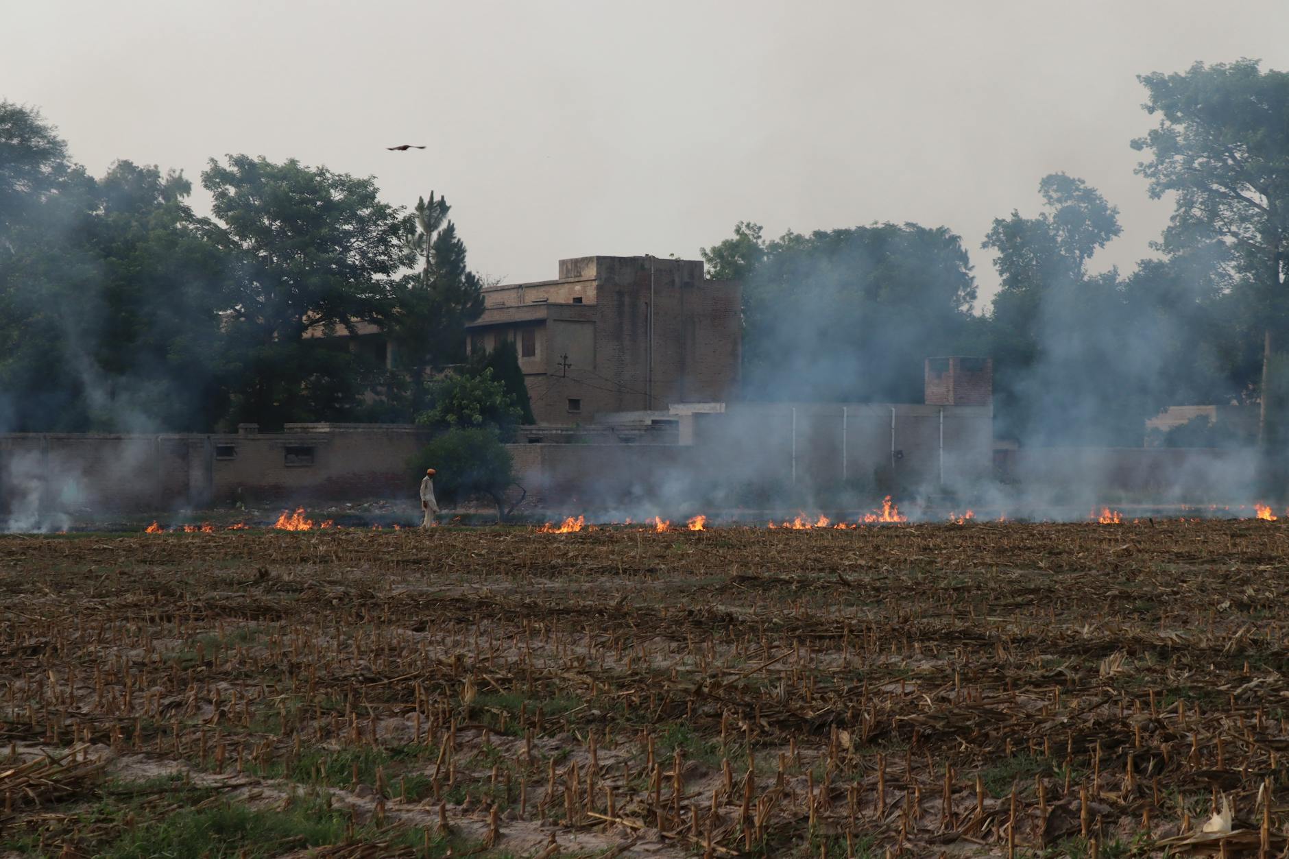 NCIS Initiative Rewards Stubble Management to Combat Pollution