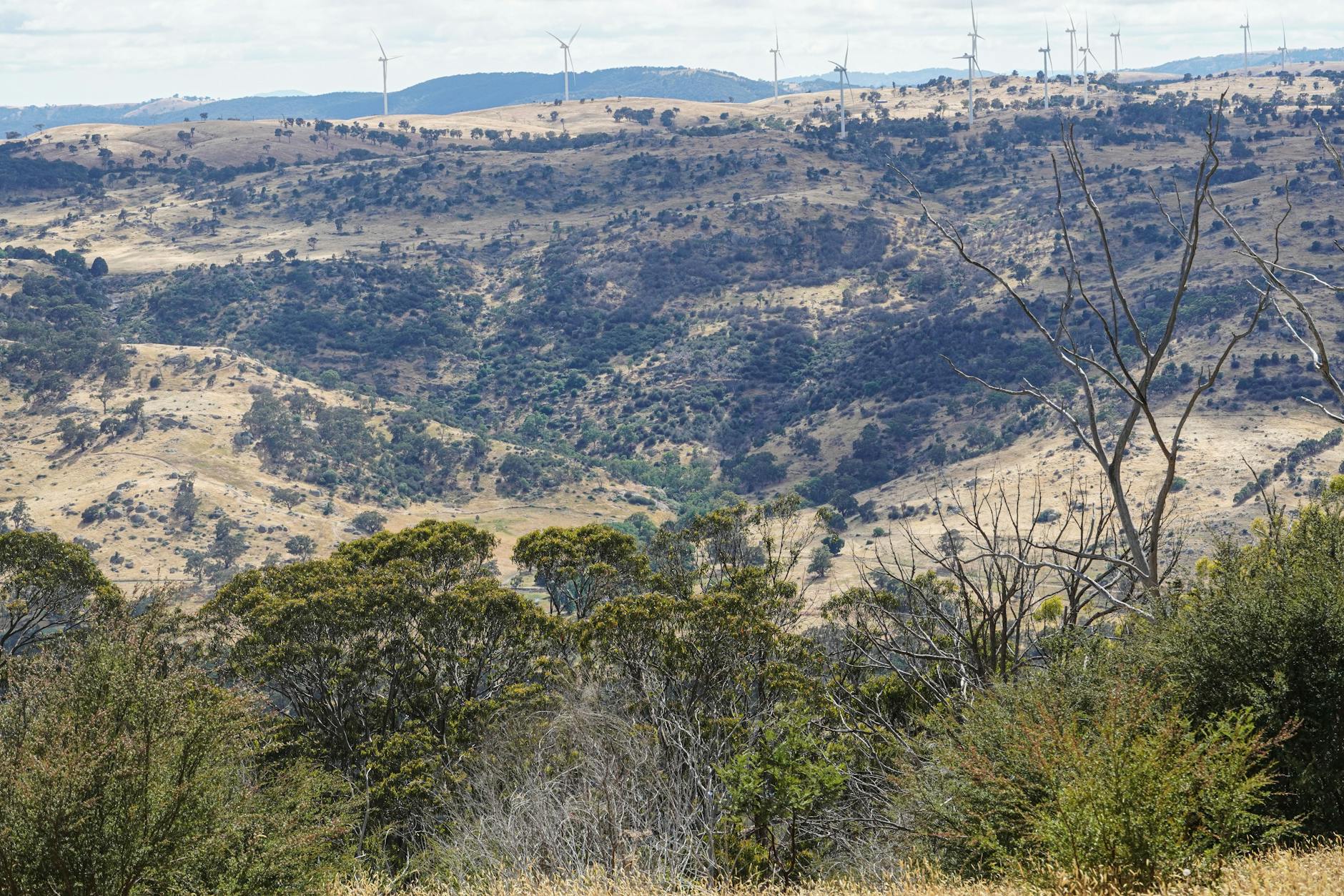 Toowoomba Calls for Environmental Innovation with Grant Initiative