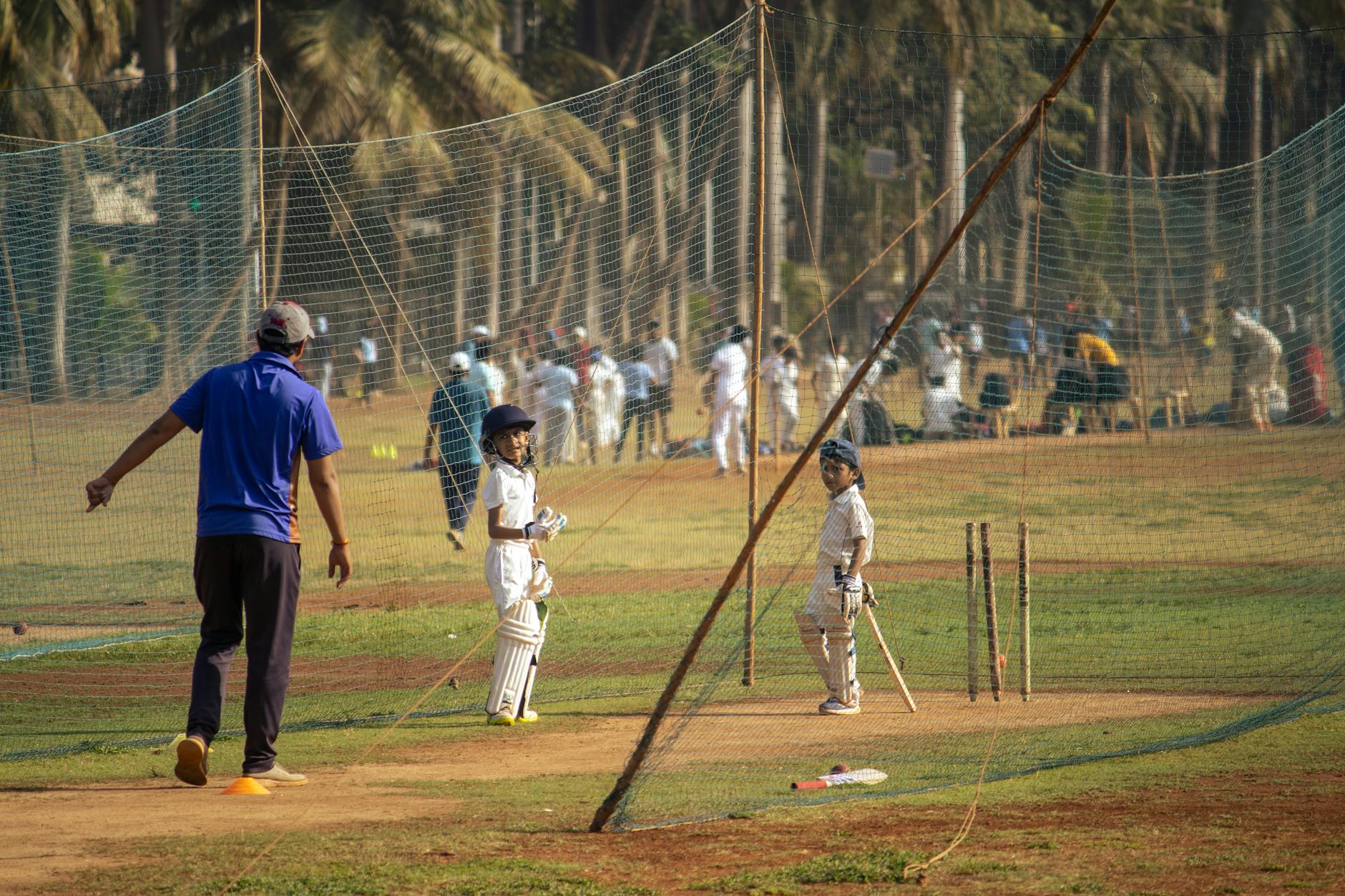 Advanced Impactor: AI Innovation Transforming Cricket Coaching