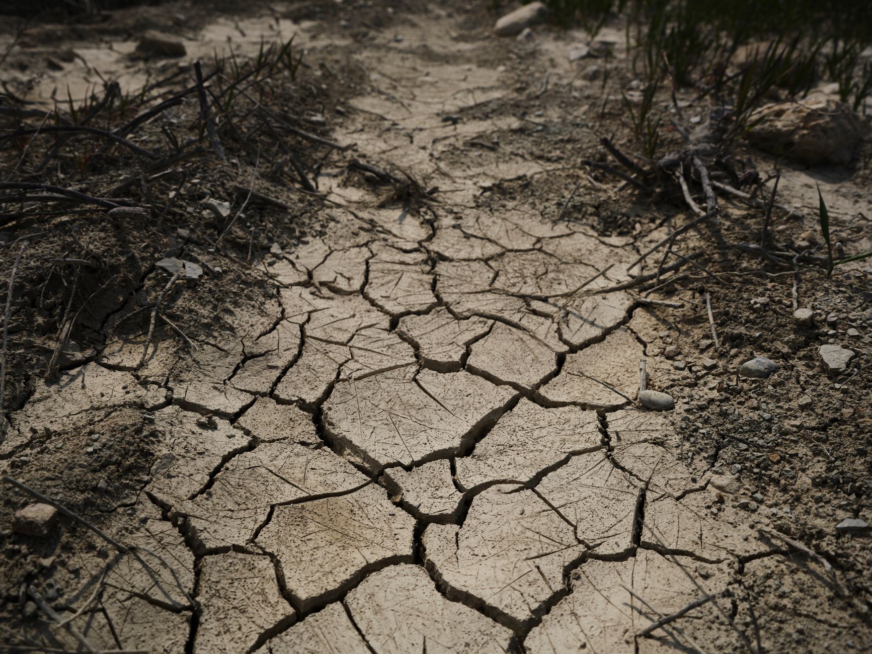 Record Heatwave in France Leads to Alarming Rise in Deaths