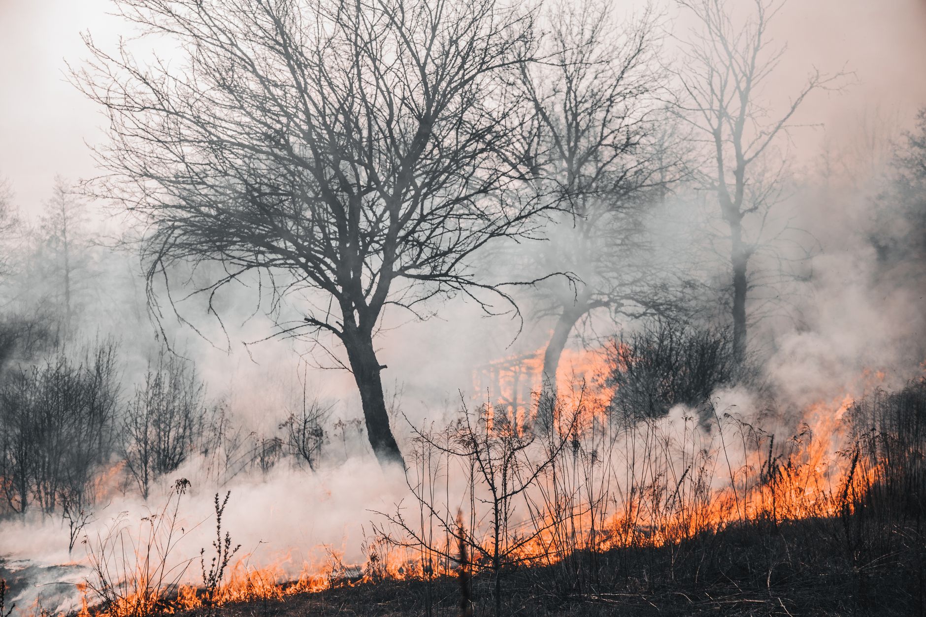 Record Heatwave in Europe Prompts Urgent Health Alerts
