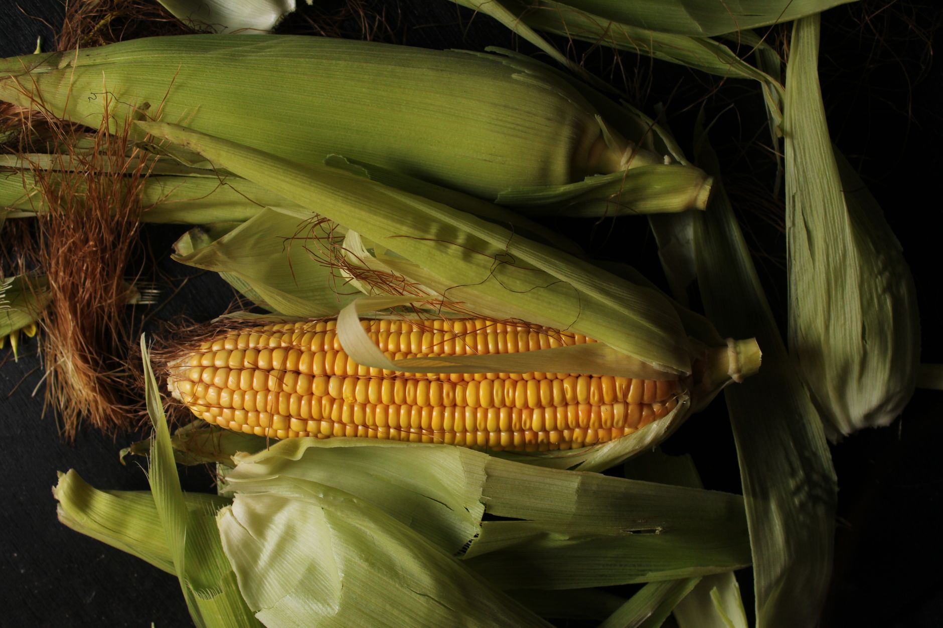 Government Slashes Excise Duty on Ethanol Fuel: Implications for Consumers