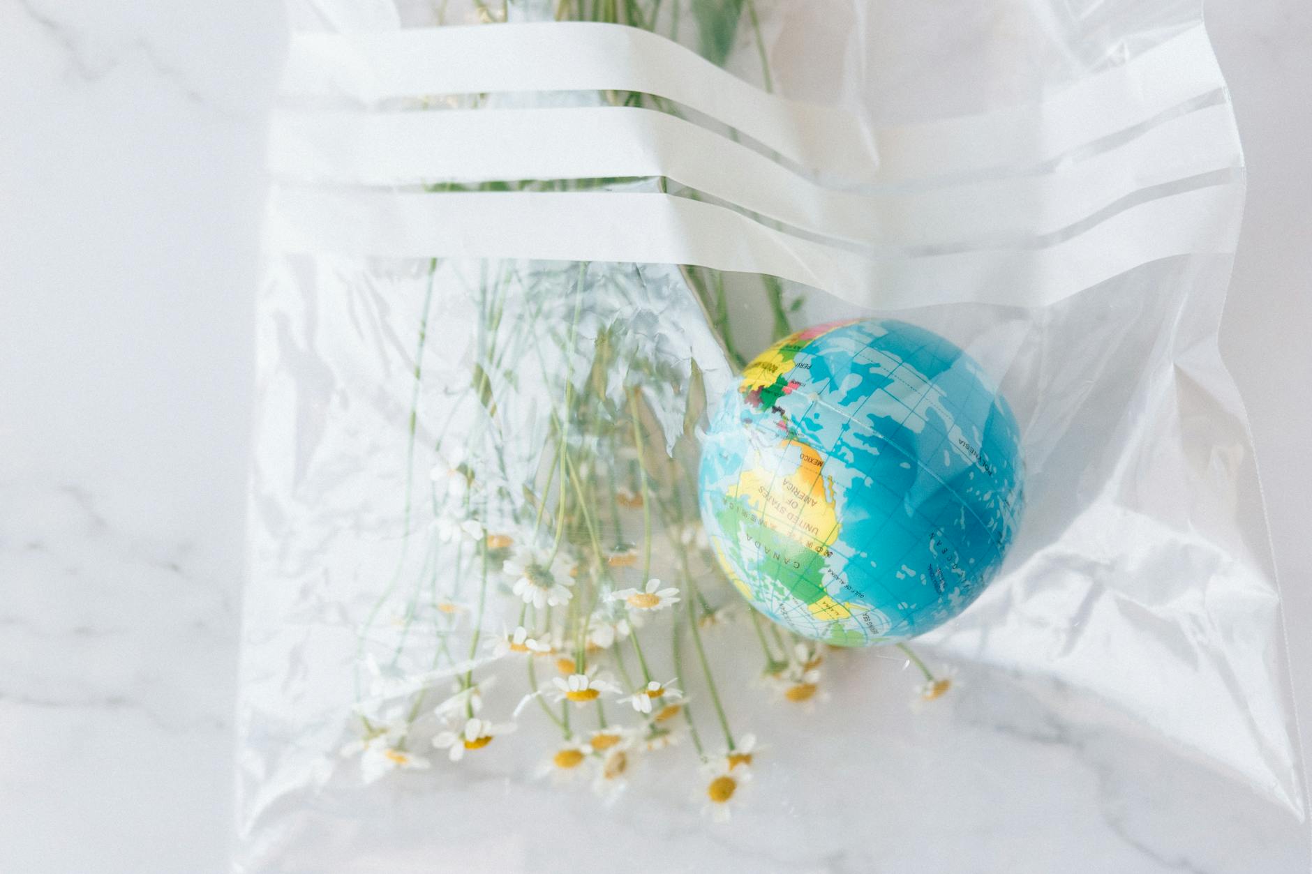 India's Brands Transform Everyday Routines for Climate Action
