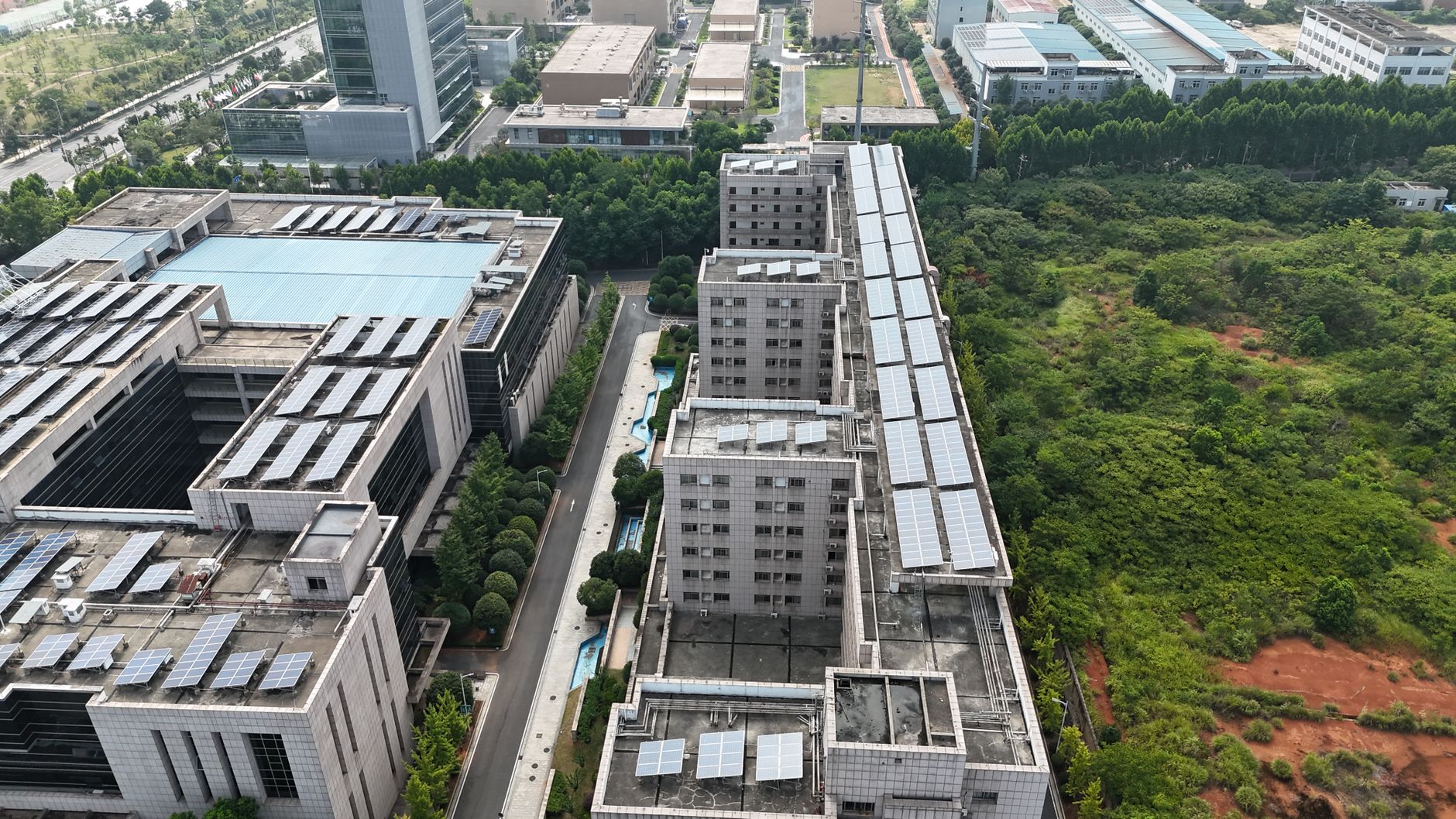 ISB Discover: Advancing Climate Resilience and Sustainable Policy