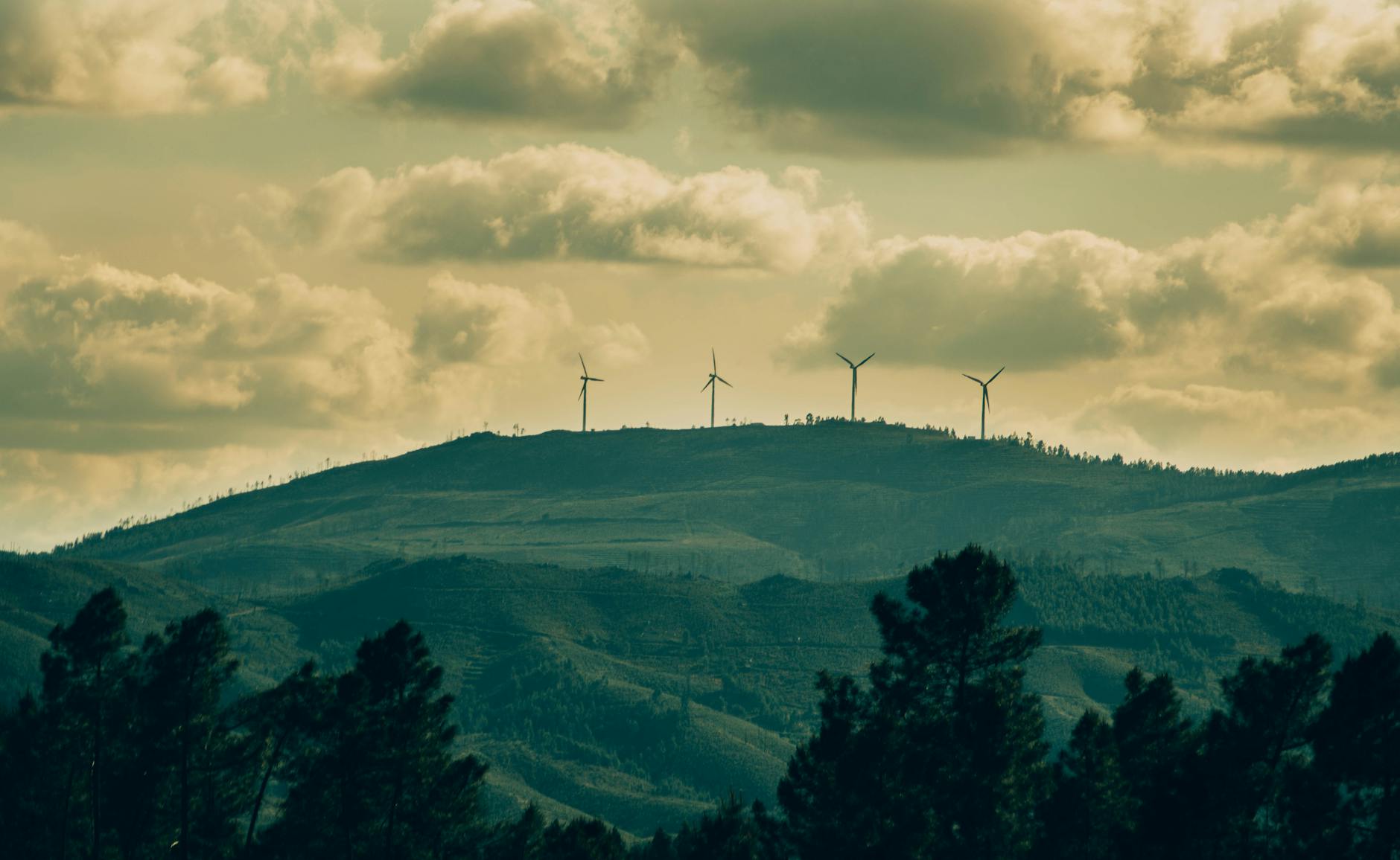 India's Green Ambitions: PM Modi's Climate Initiatives on World Environment Day 2026
