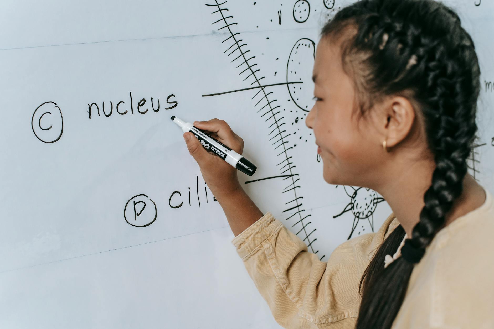 CBSE Class 10 Science Exam: A Balanced Test with Mixed Reactions