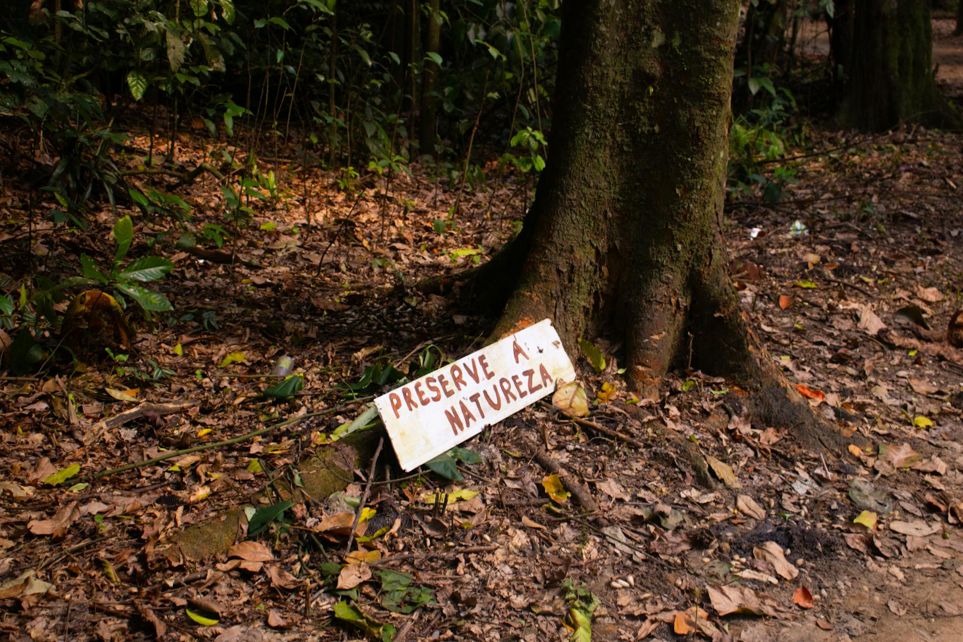 Telangana Grapples with 591 Environment Offences in 2024