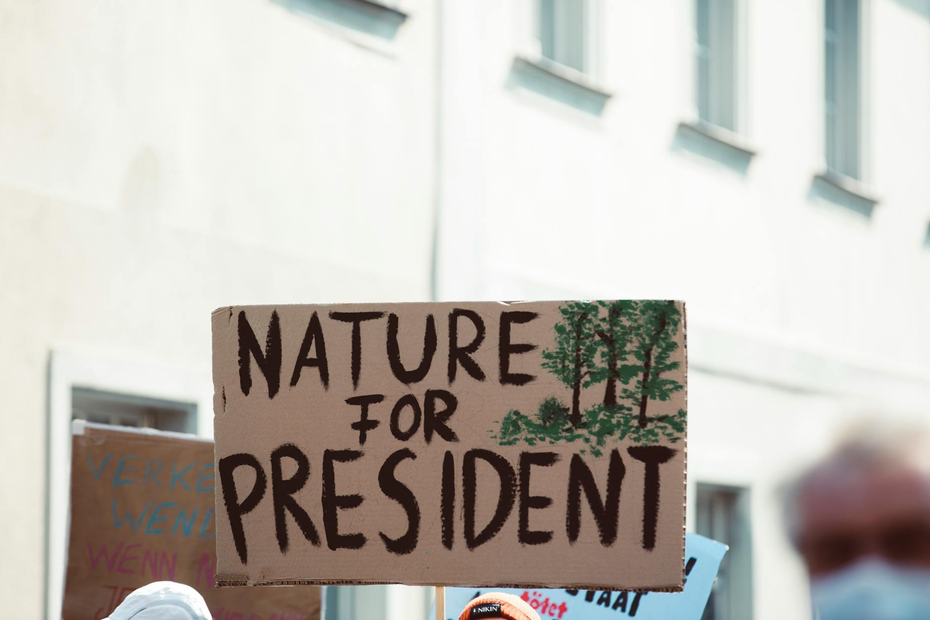 Chief Justice Sparks Outcry with Environmental Critique