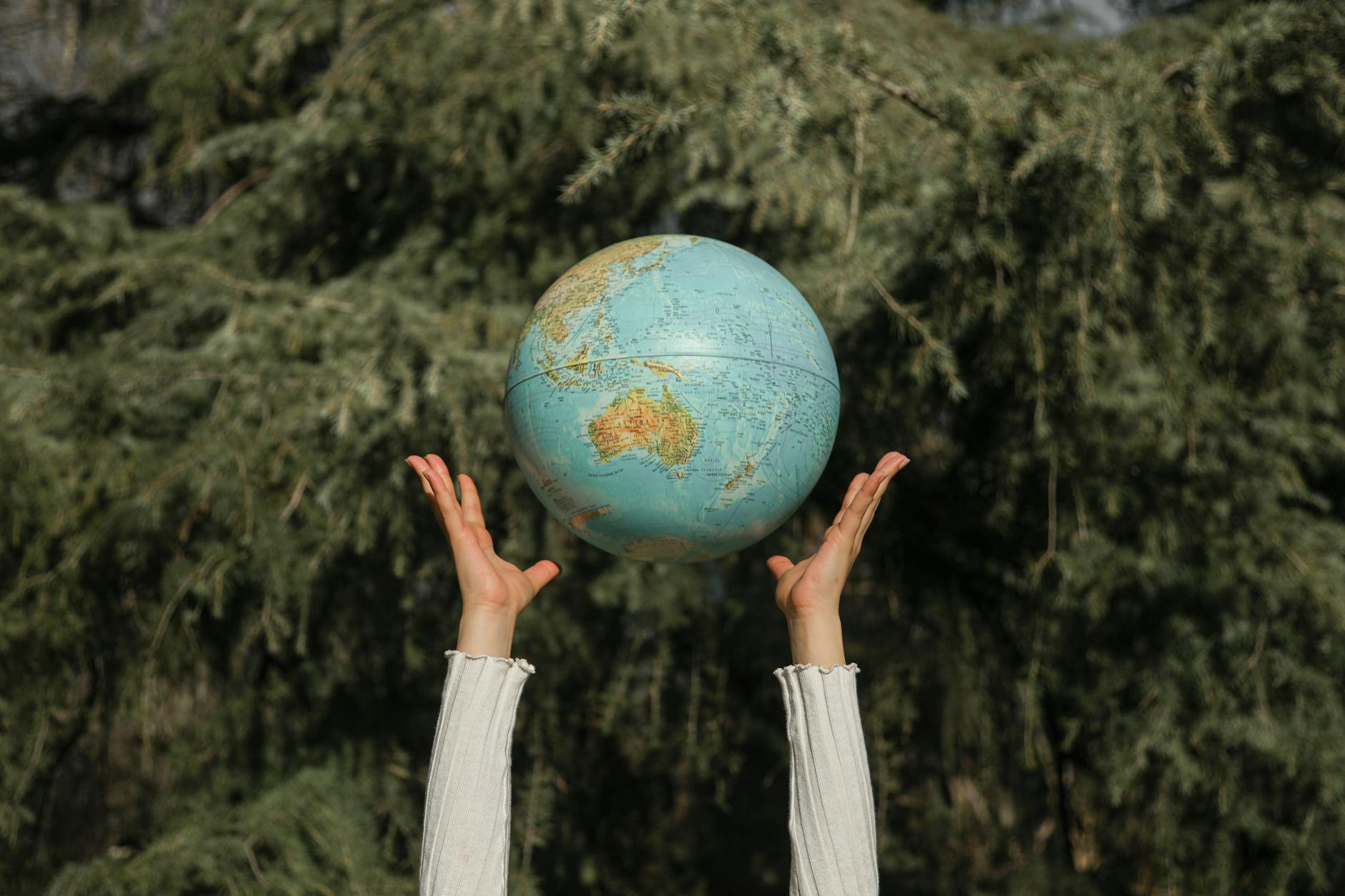 Valmiki University Leads Green Initiative on World Environment Day