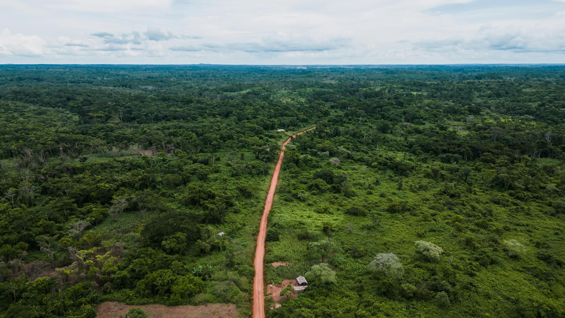 Lee White: Navigating Africa’s Conservation Challenges