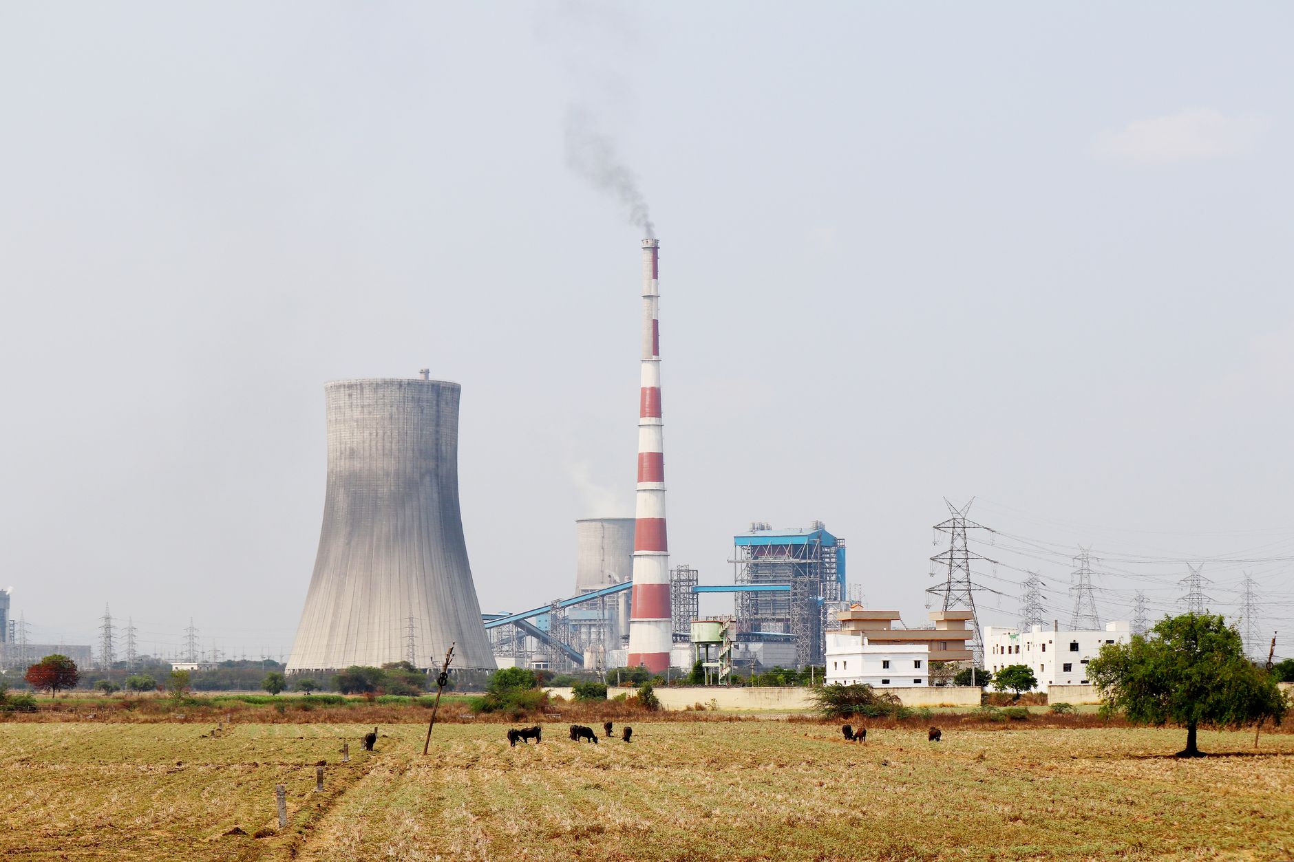 India's Environmental Woes: A Slip on the Global Scale