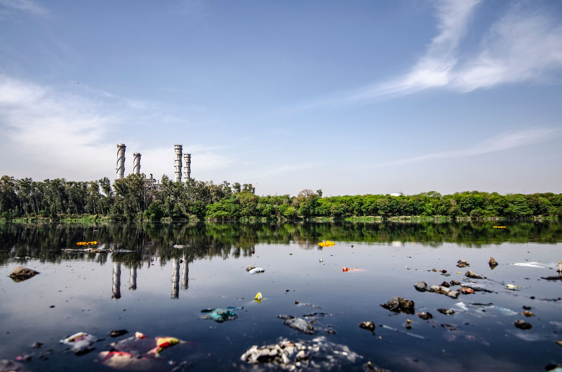 India's Environmental Survey: Unmasking Normalised Changes
