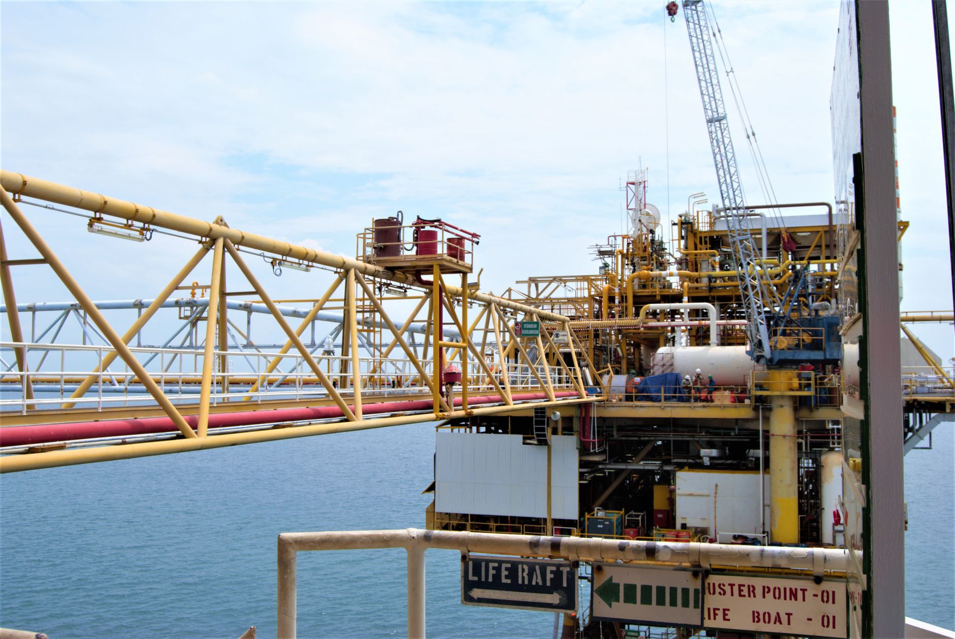 OPEC's Steady Hand Amidst Global Uncertainty