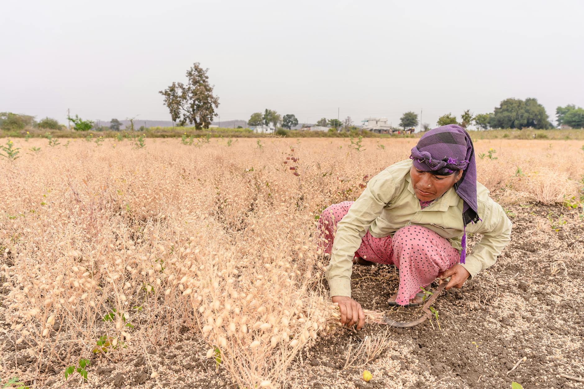 FMC Sells India Business to Crystal Crop for $252 Million