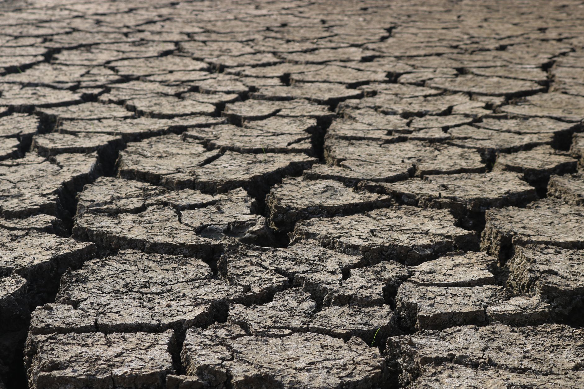 Rising Temperatures and Drought: A Pressing Environmental Challenge