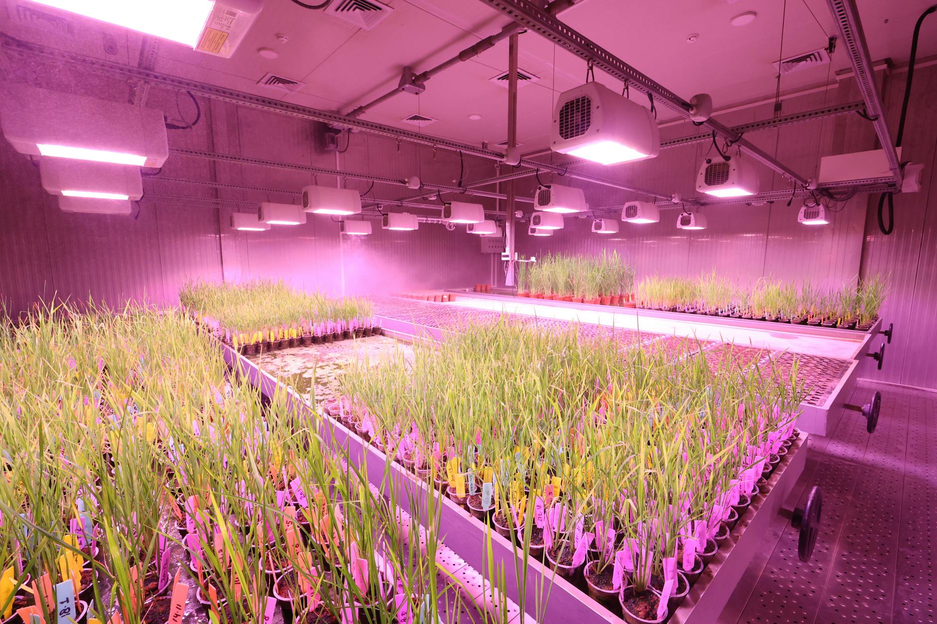 Haryana's Agricultural and Environmental Innovations Garner Global Praise