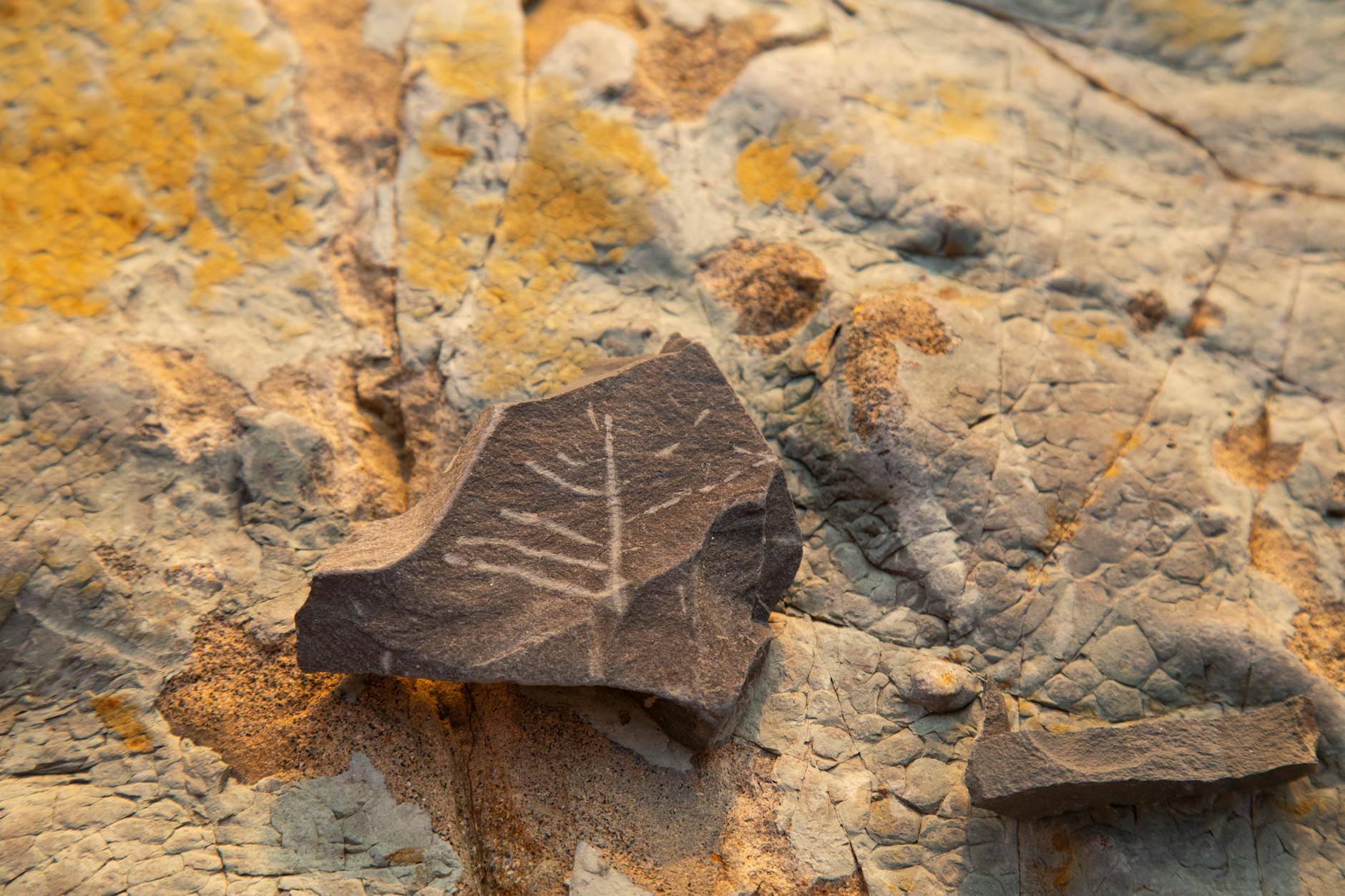Ancient Clue in Quebec Rock Challenges Earth's Early History