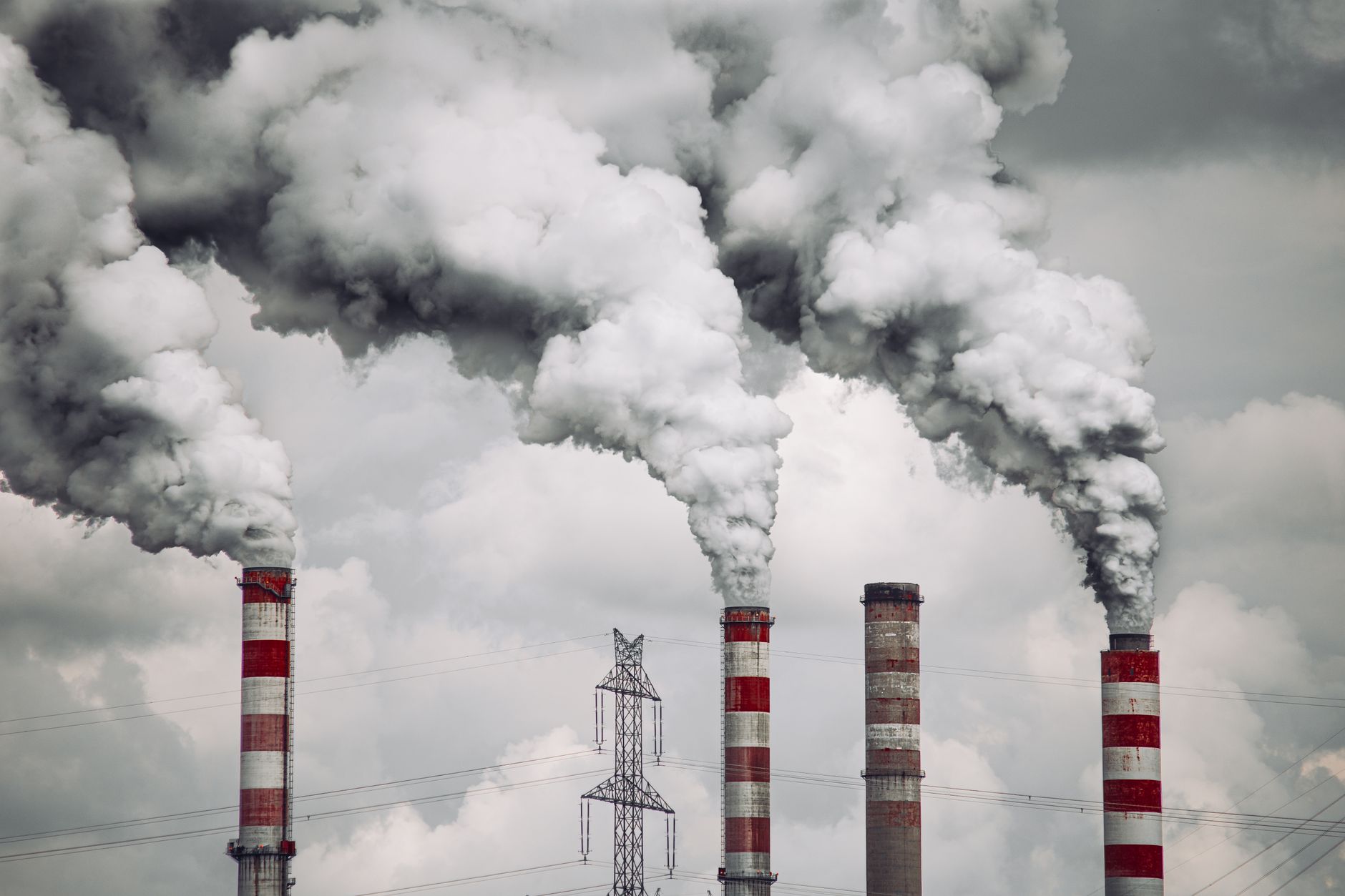 Cuddalore: Four Decades of Promises Tarnished by Pollution