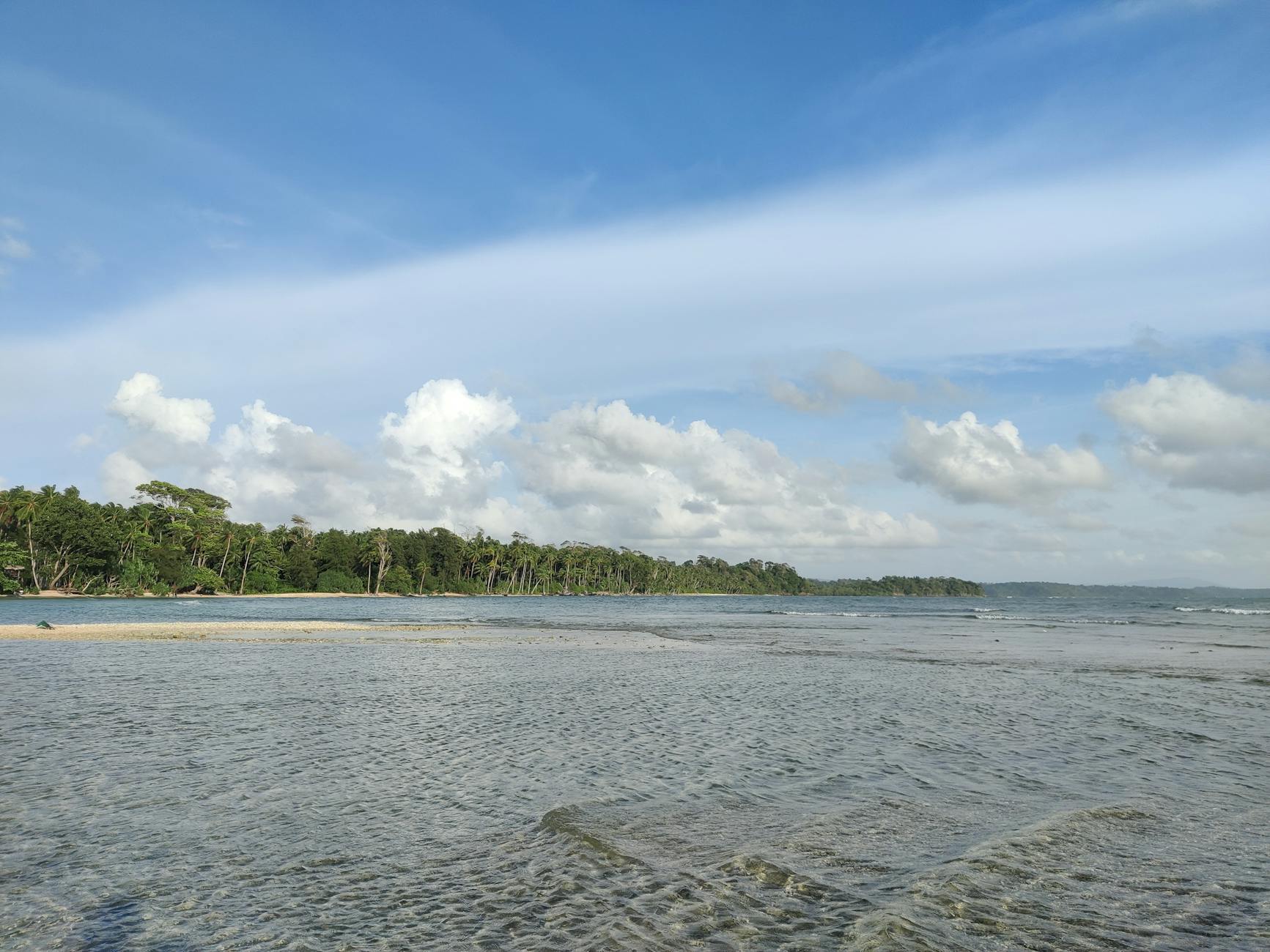 Congress Warns of Ecological Threat in Great Nicobar Project