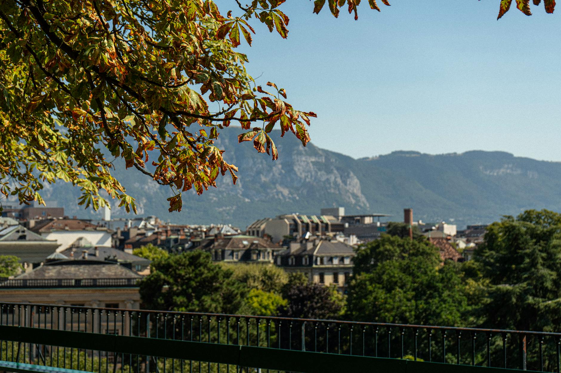 Geneva's Green Week: Unveiling New Environmental Initiatives