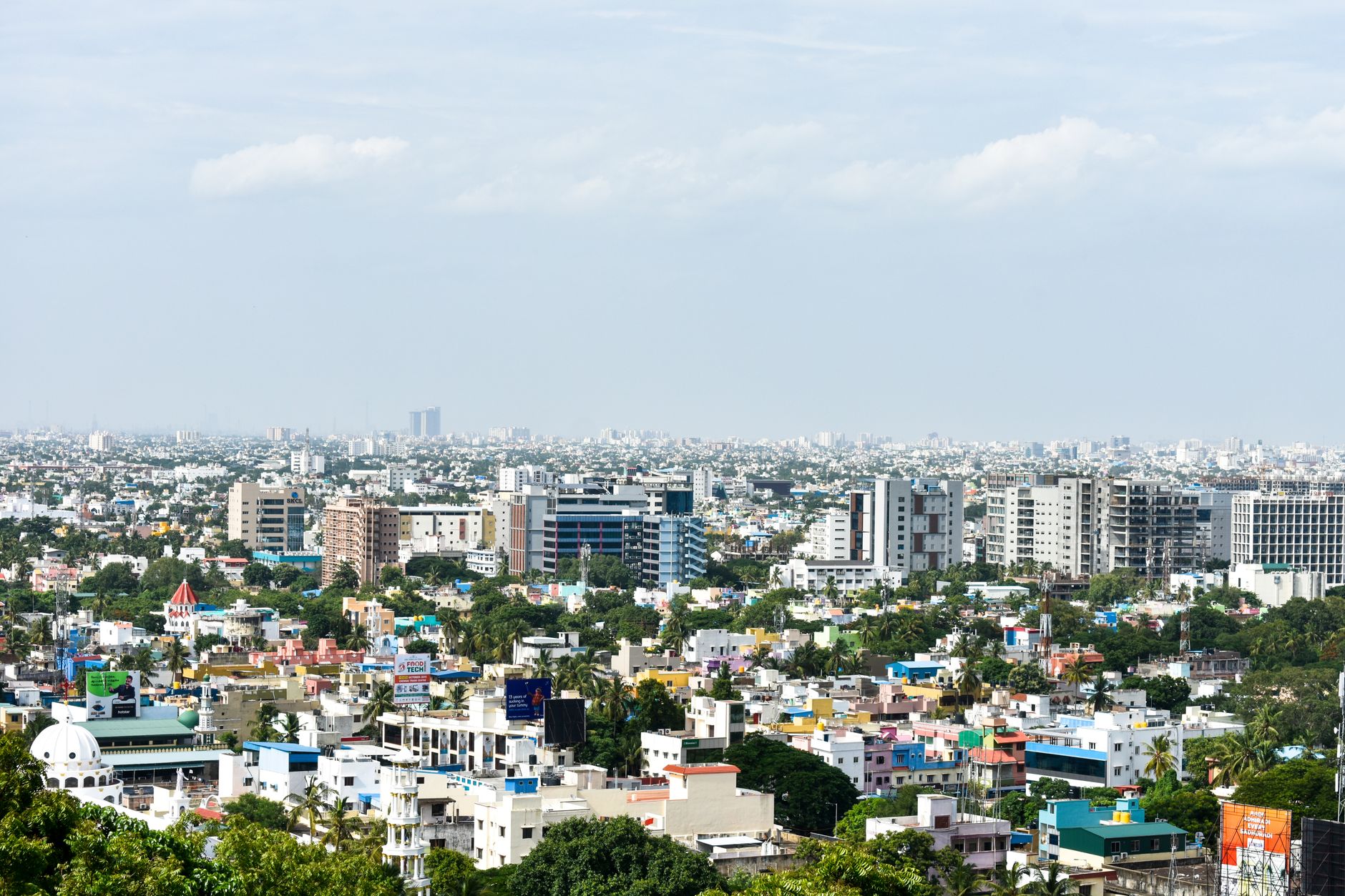 Tamil Nadu Halts Controversial Chennai Housing Project Near Marshland