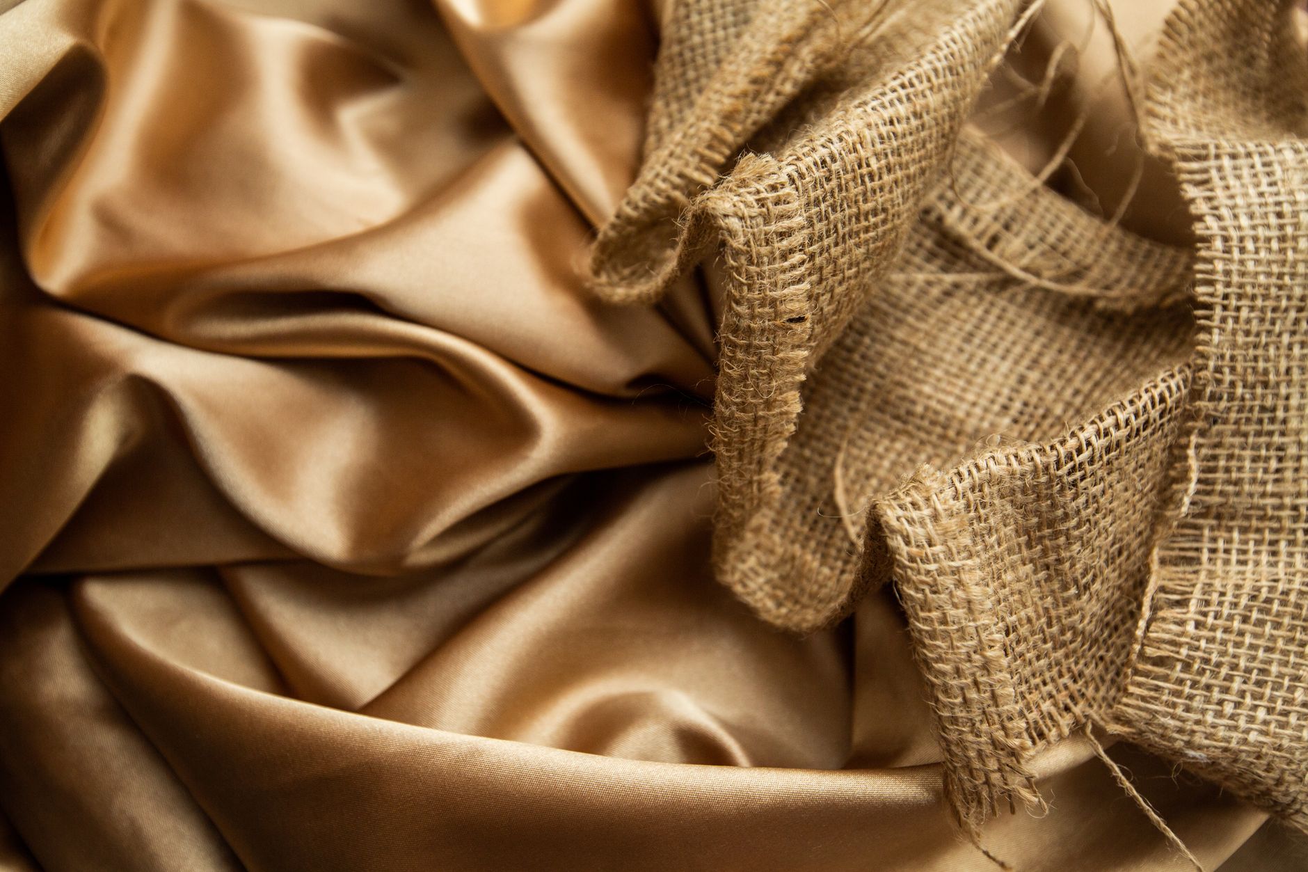 Rediscovery of 'Sea Silk': Ancient Fabric's Golden Return