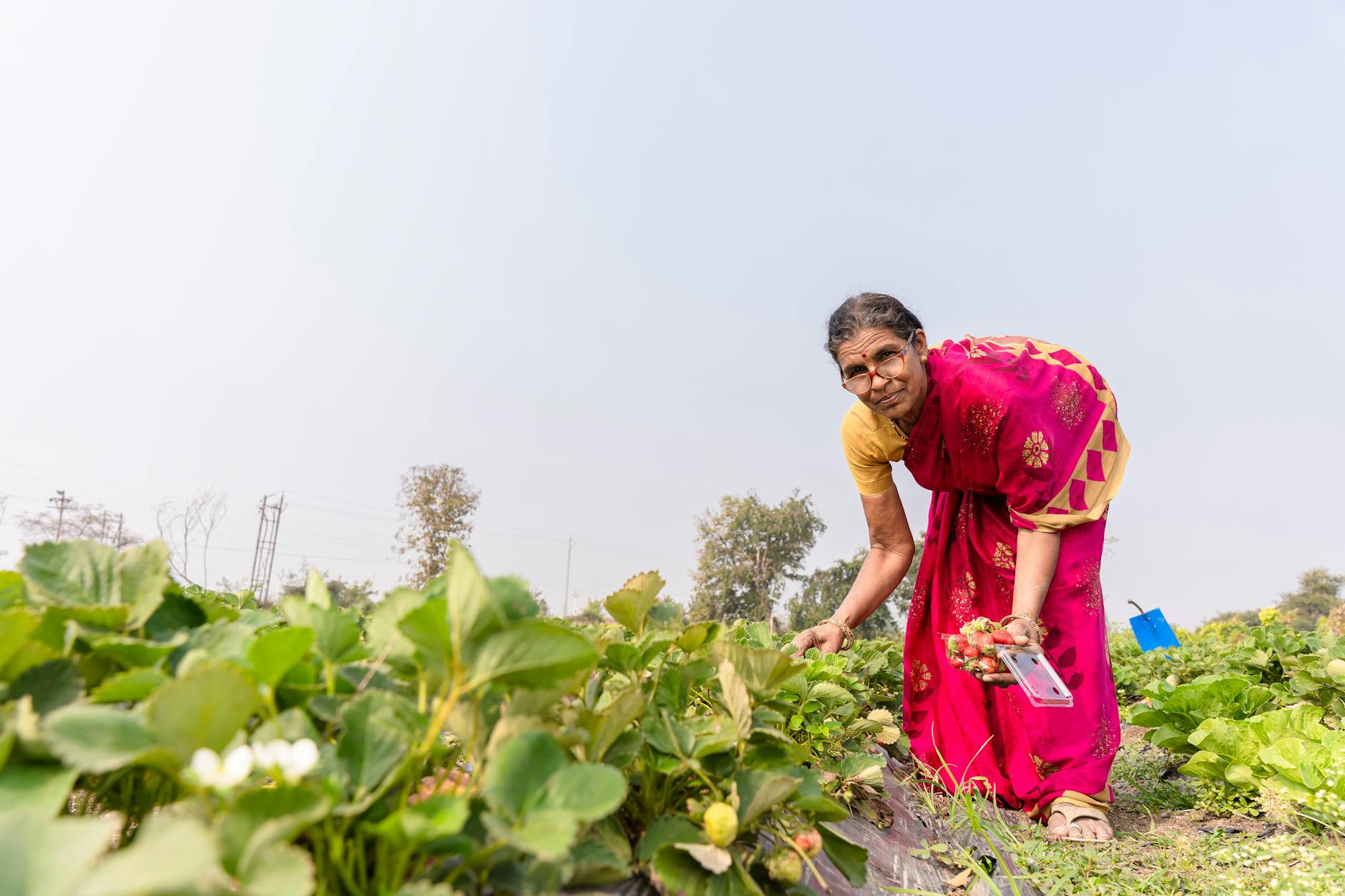 SEHAT Mission Launched: Bridging Agriculture and Health in India