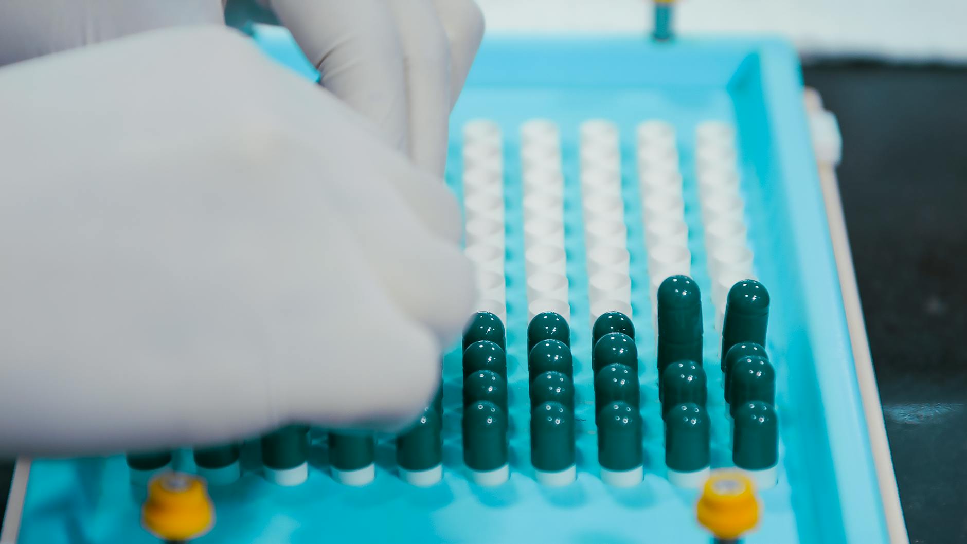 NIPER Raebareli and Lofty Laboratories Forge New Research Partnership