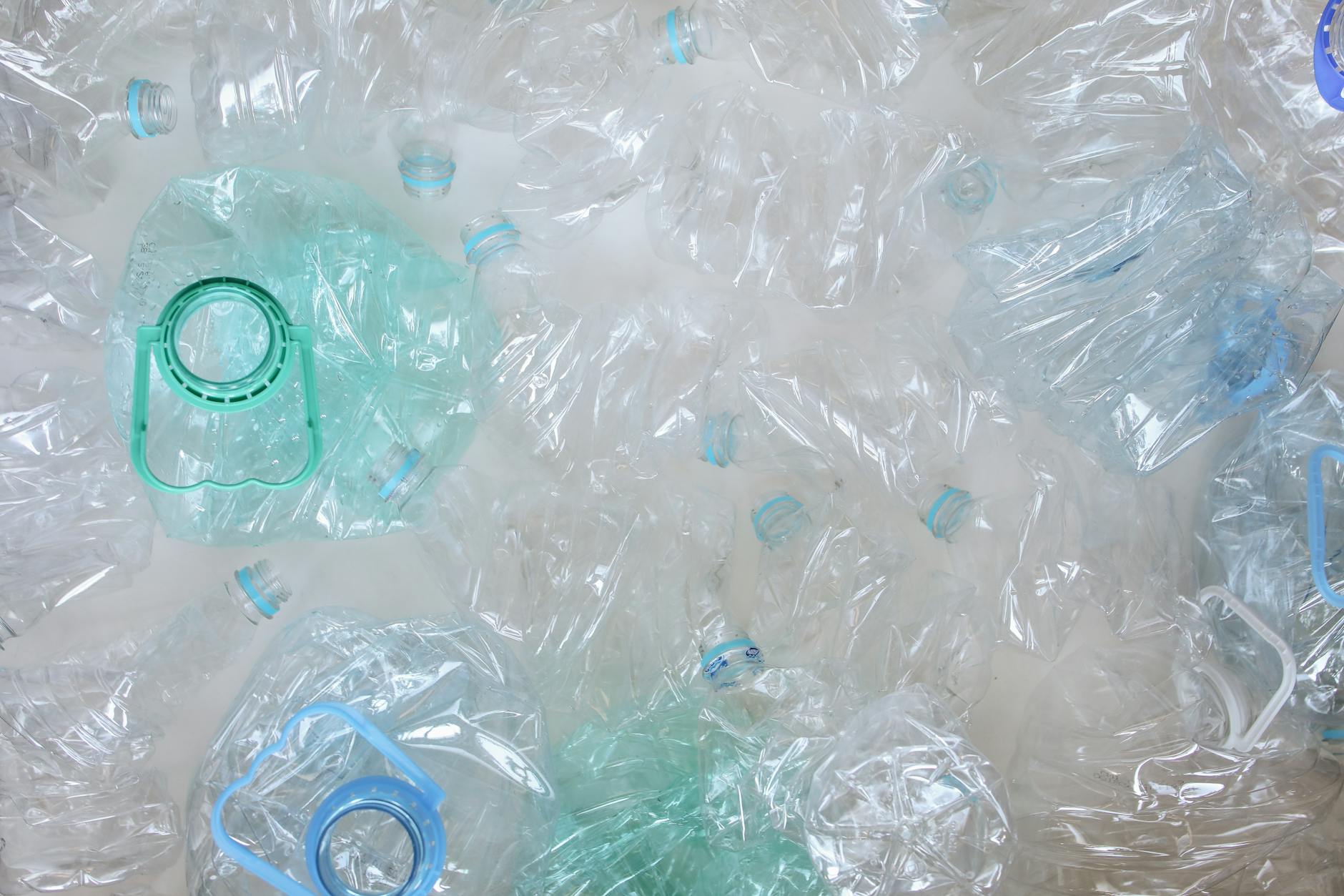 Bacterial Cellulose: The Future of Plastic Replacement?