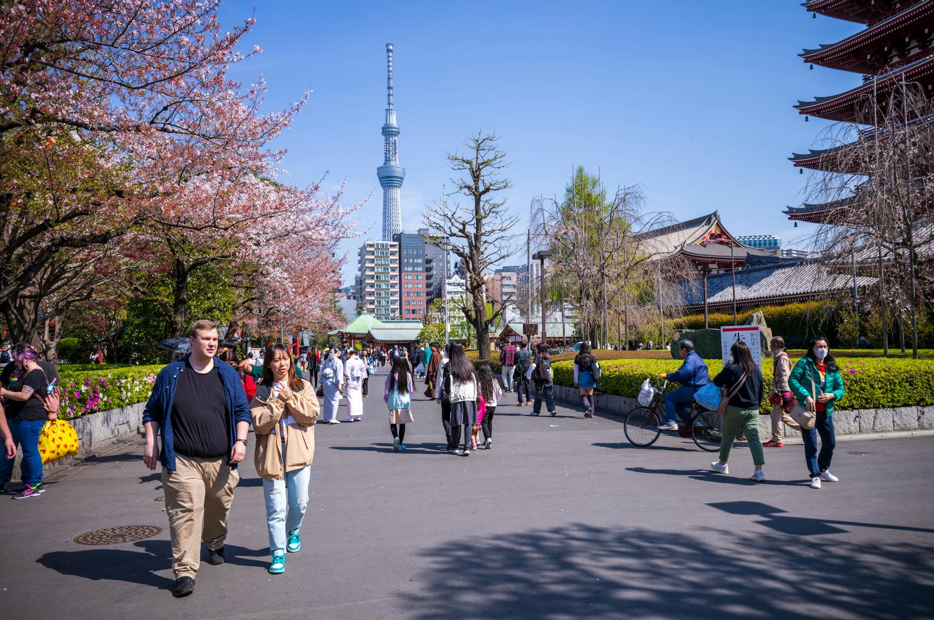 Indian Students Embark on Cultural and Scientific Journey to Japan