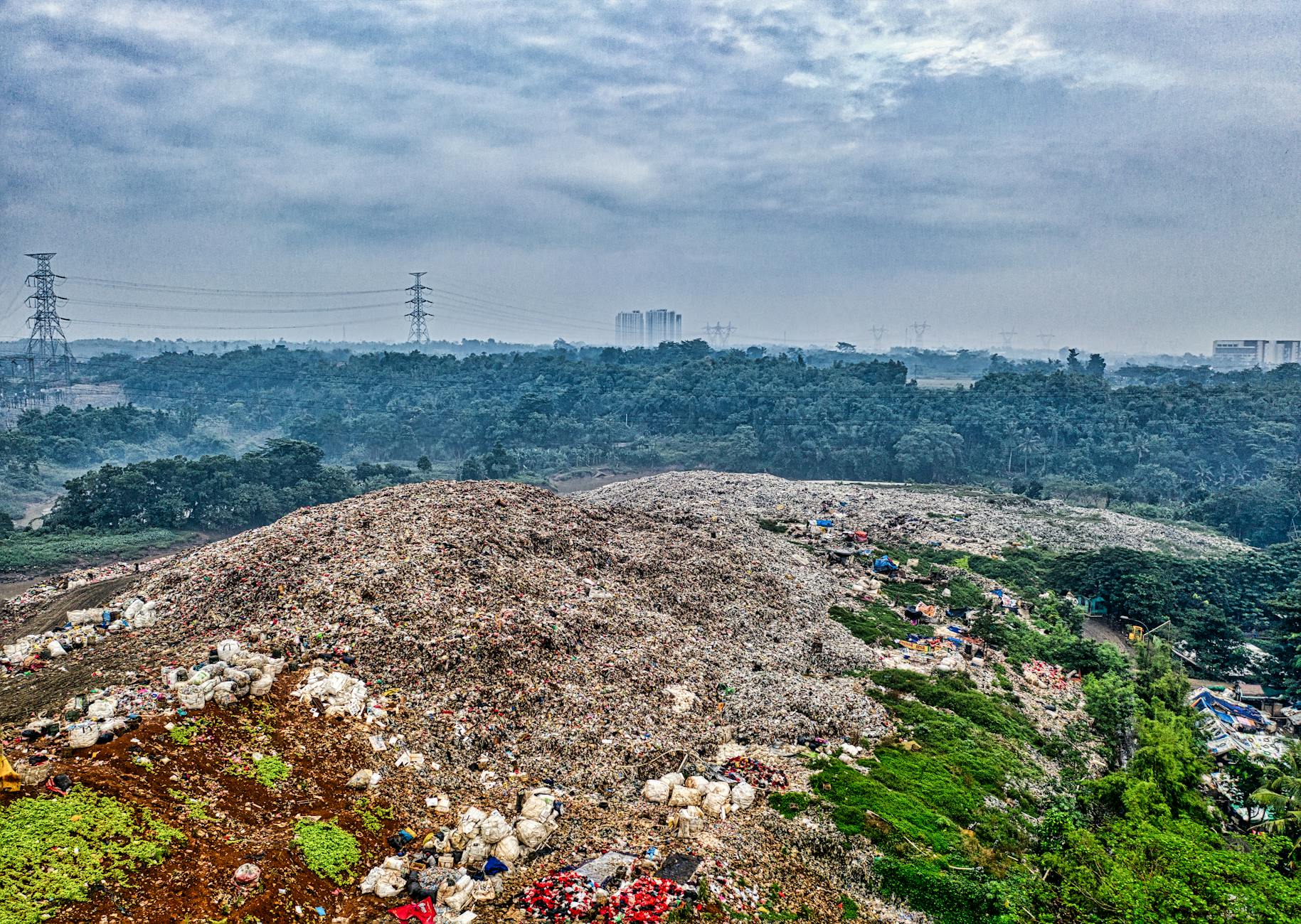 Harnessing Waste: India's Bioenergy Solution to the Energy Crisis