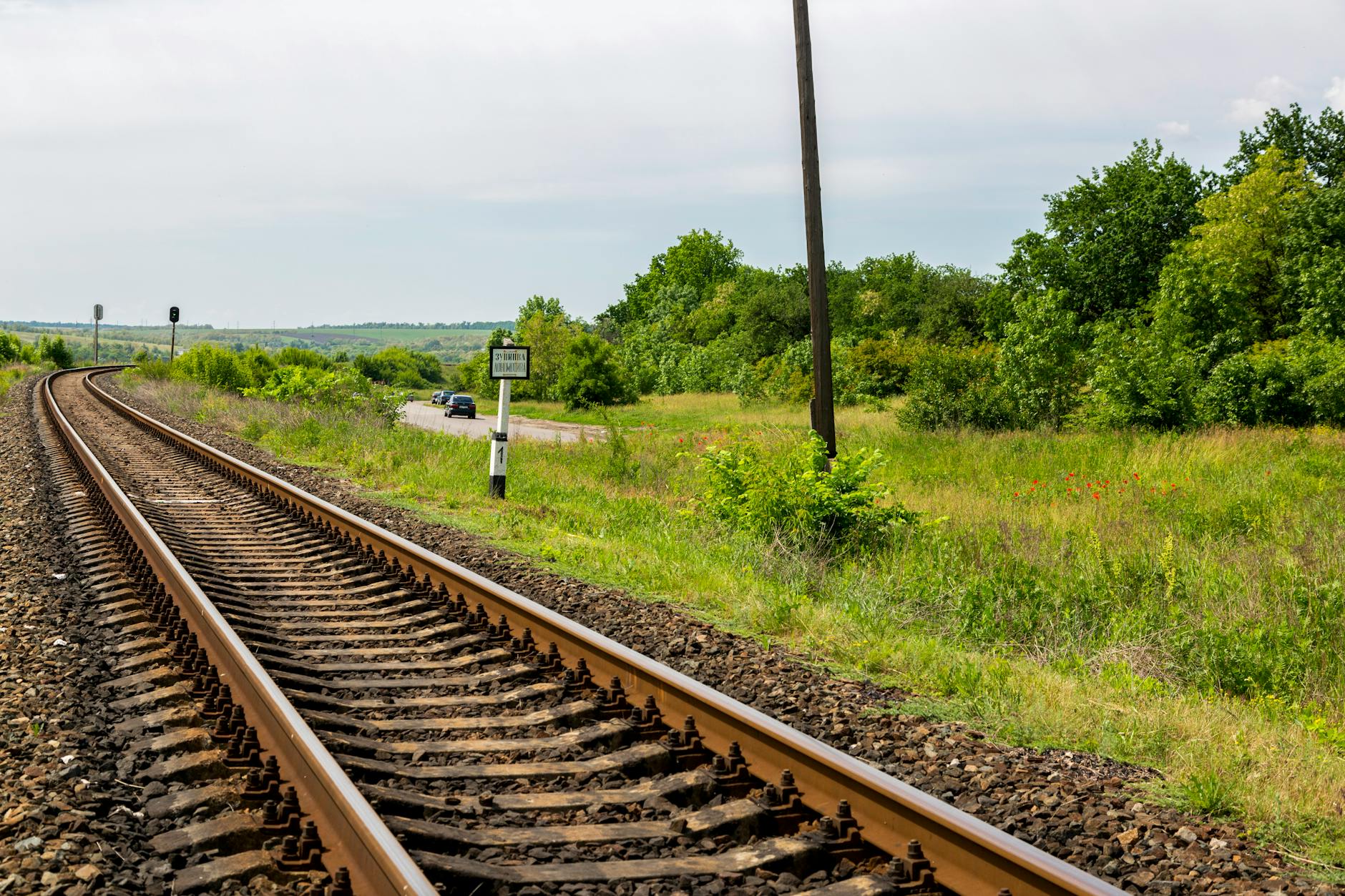 Railway Divisions Rally for Environment Day Celebrations