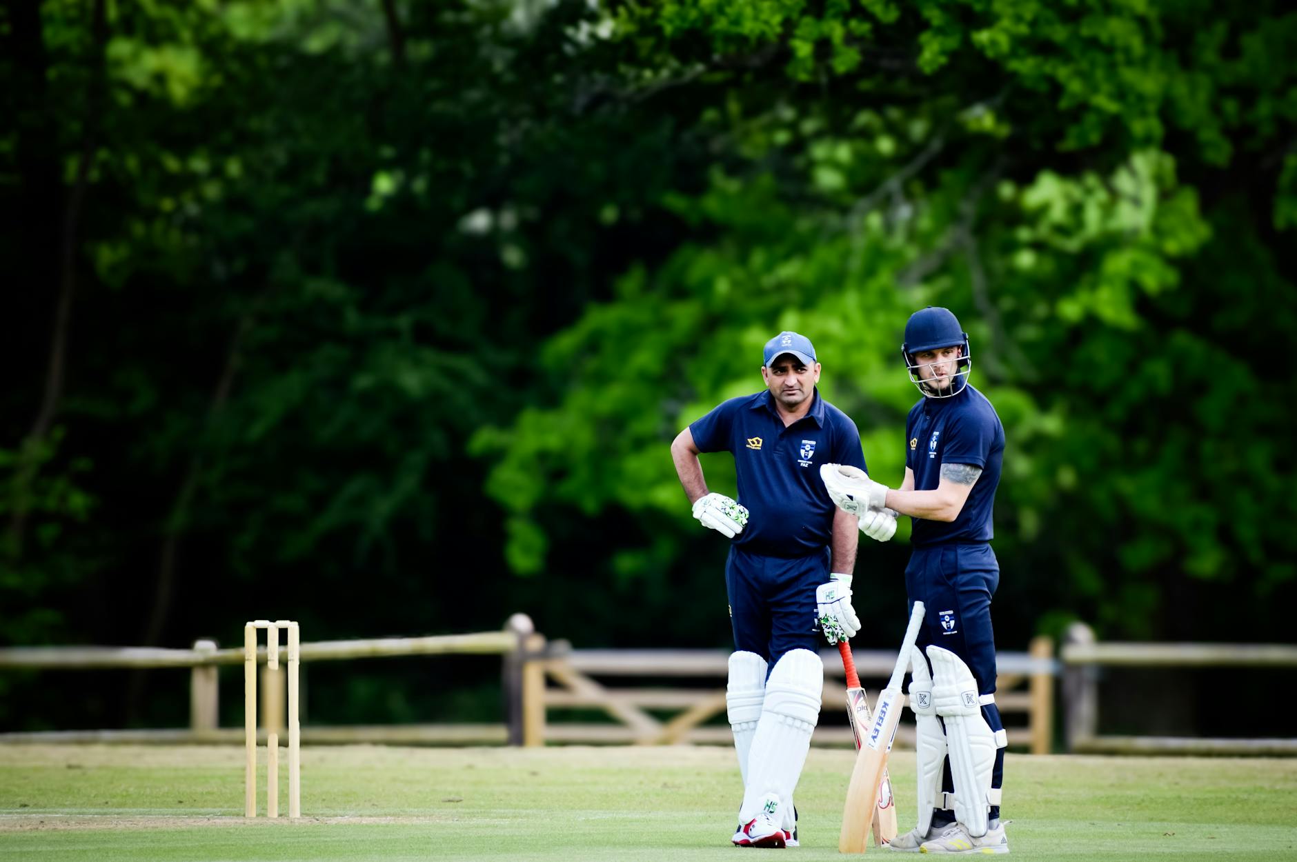 Yorkshire Assert Dominance Over Surrey in County Championship