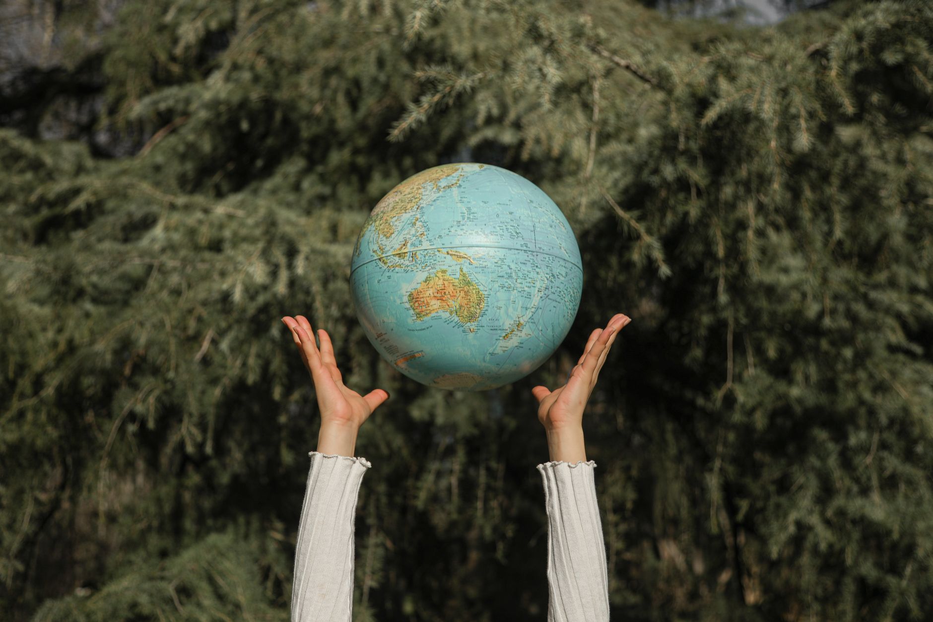 Sister Nivedita University Forges Unique Bond With Nature on World Environment Day
