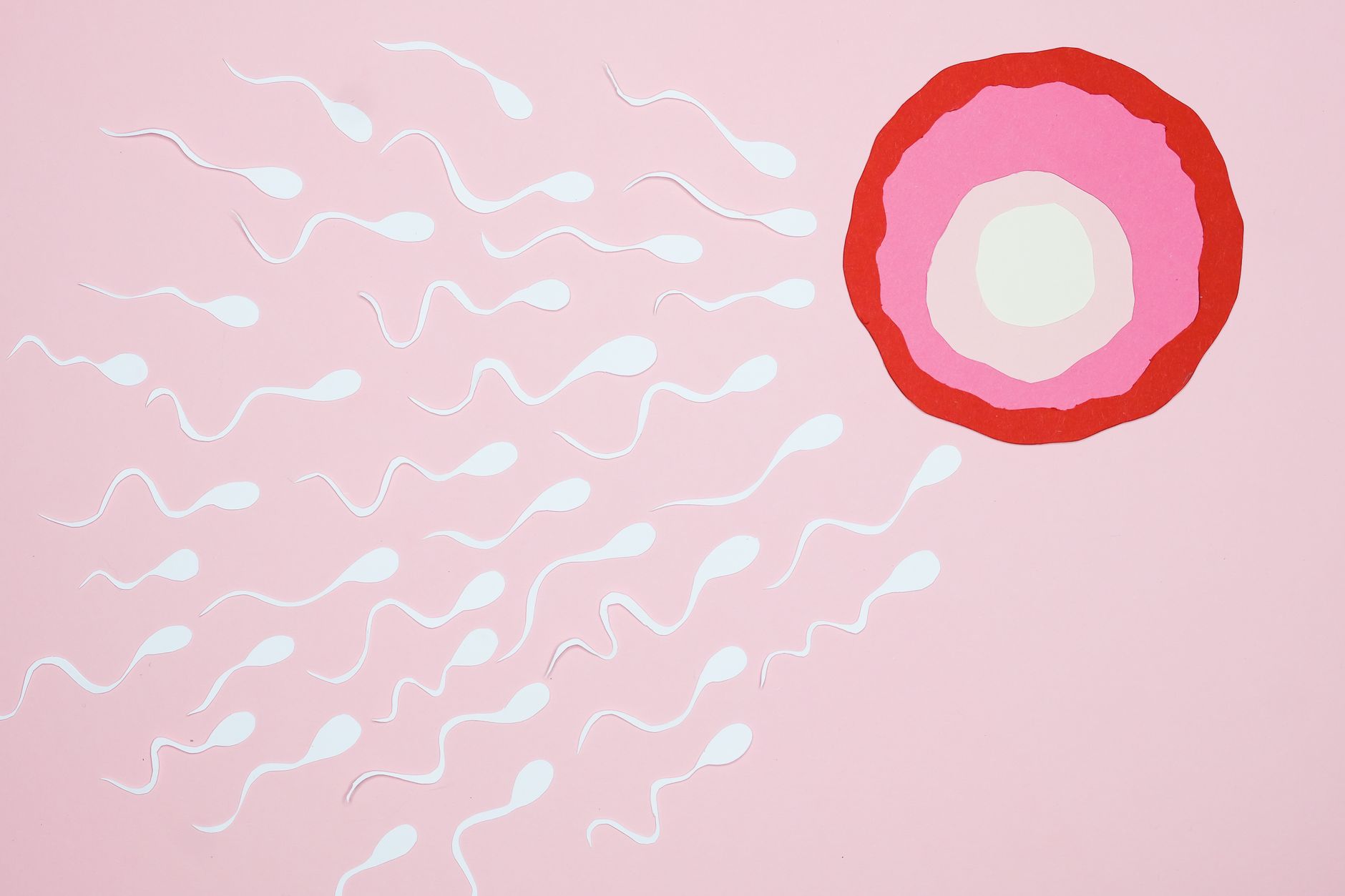 Scientists Craft First Synthetic Cell Capable of Reproduction